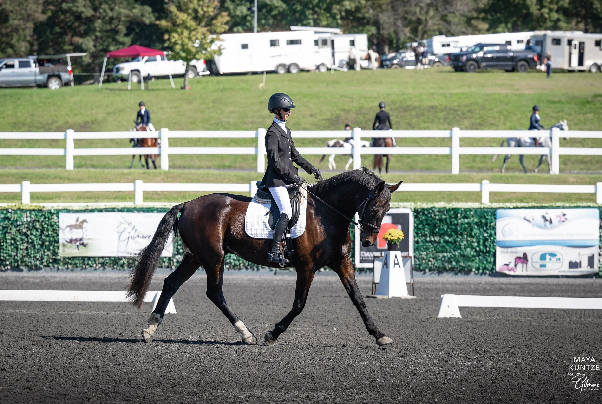 Mulch MDHT prof trot 1 med.jpg