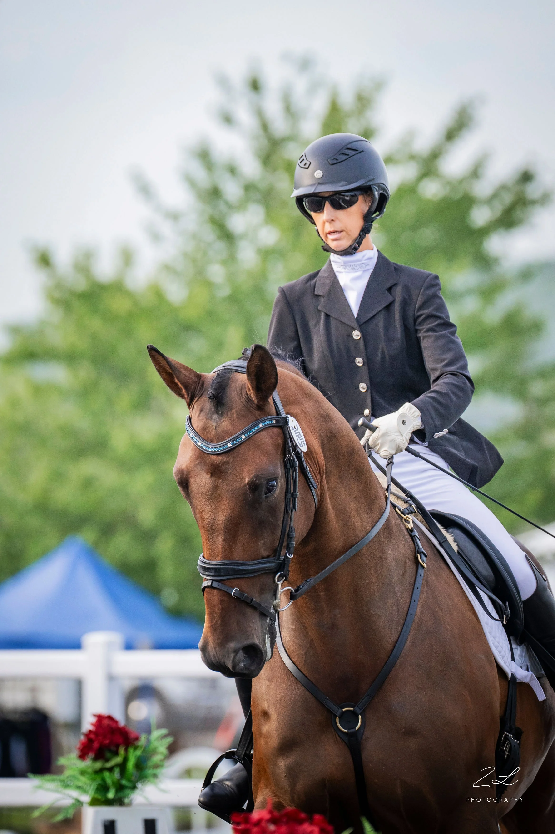 Jacek LMF Dressage pretty 2.jpg
