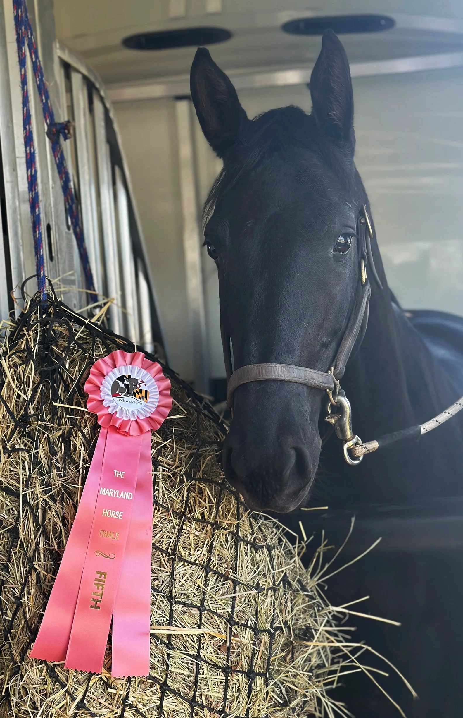 Sasha MDST ribbon 1.jpg