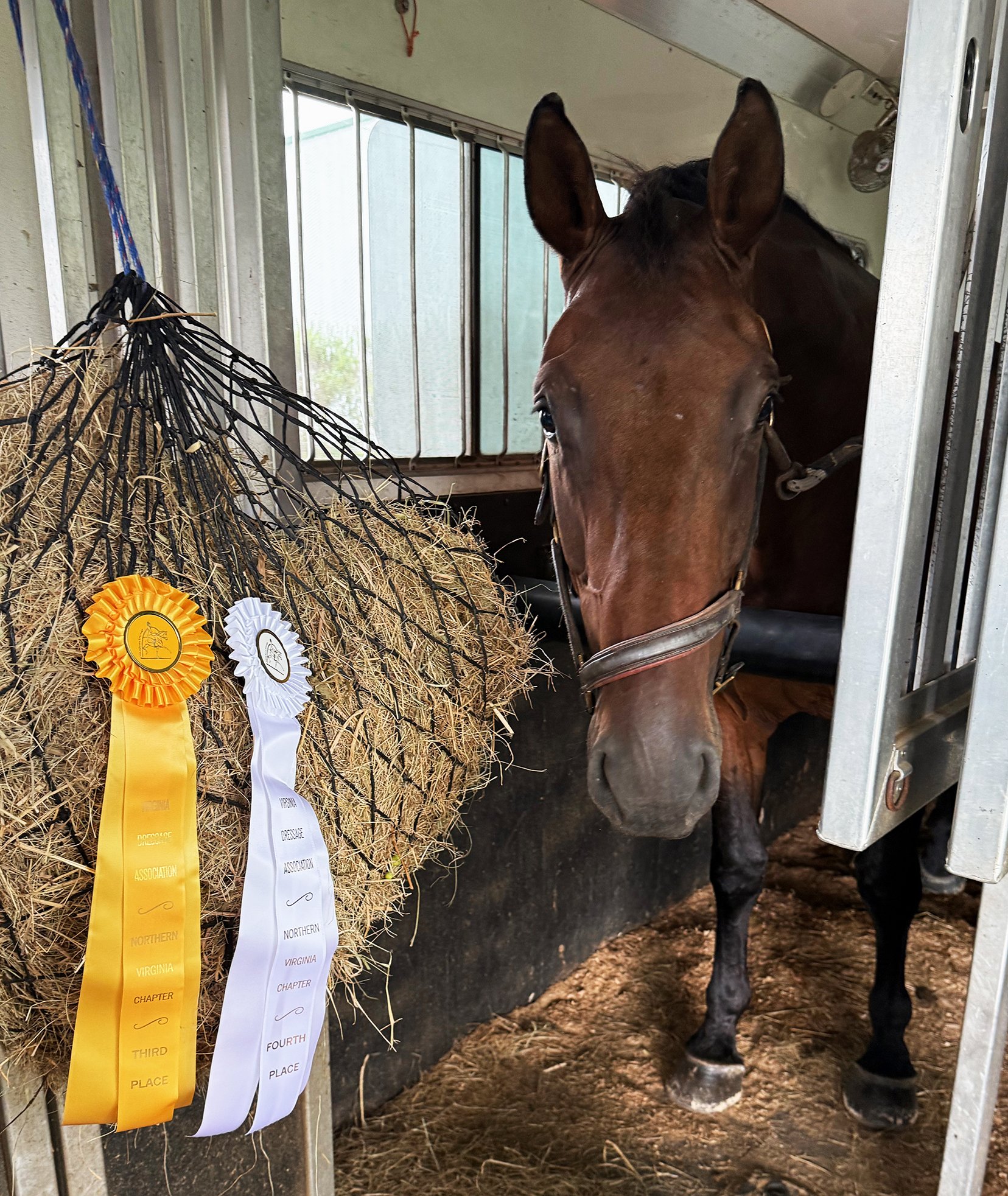 Jacek MPRDS ribbons.jpg