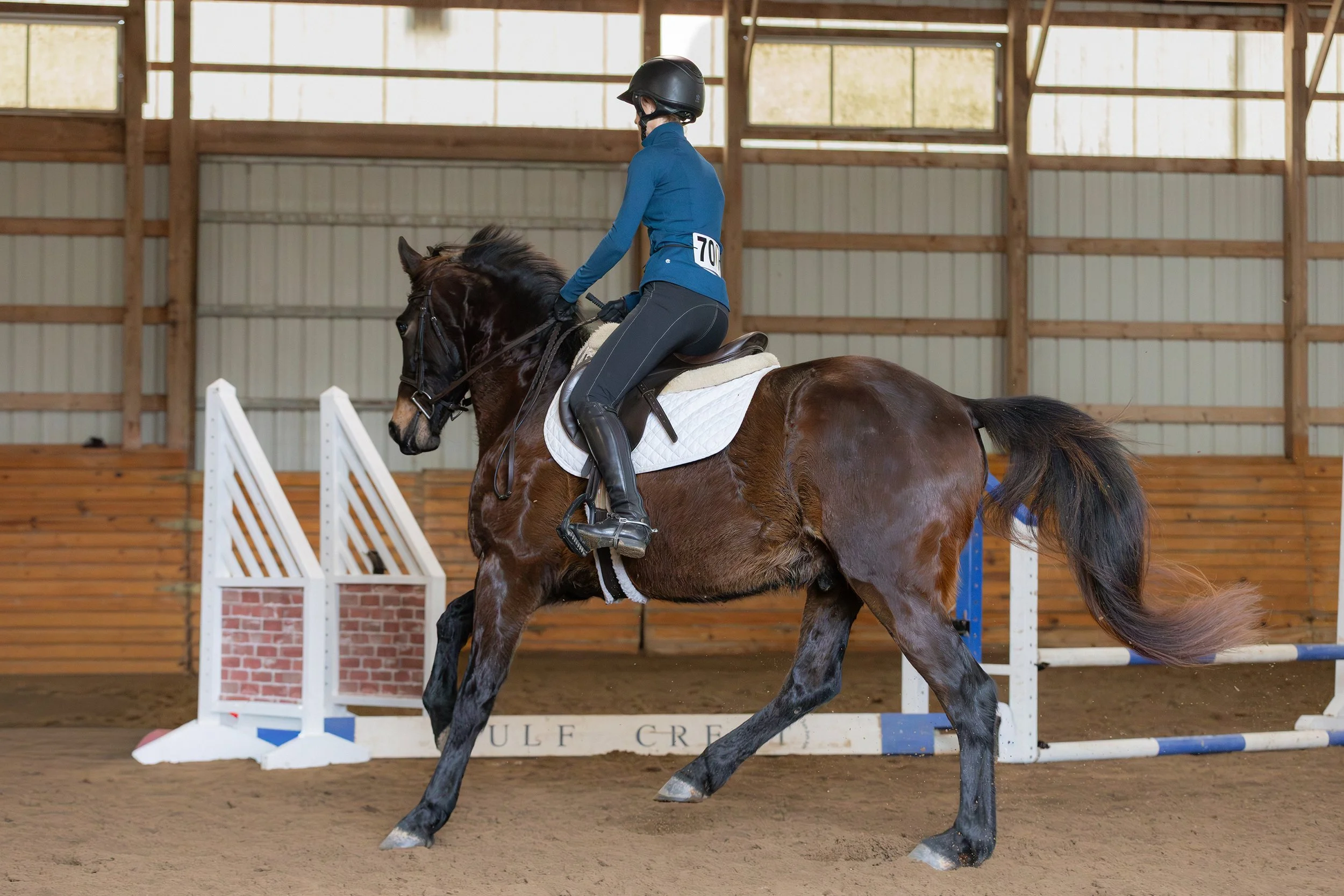 Zolin WCFJS canter 1.jpg