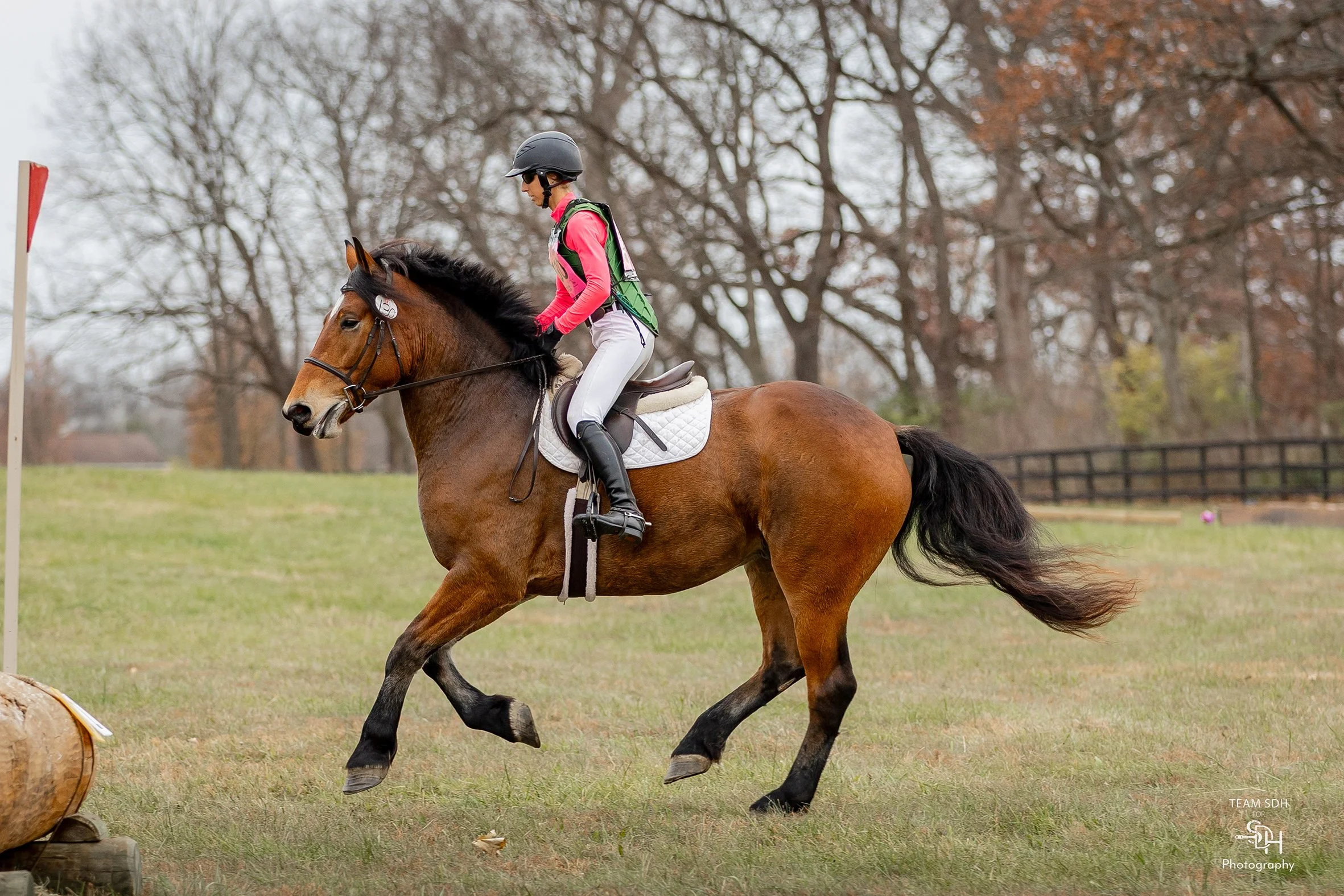 Bash HCFST prof xc gallop 1 med.jpg