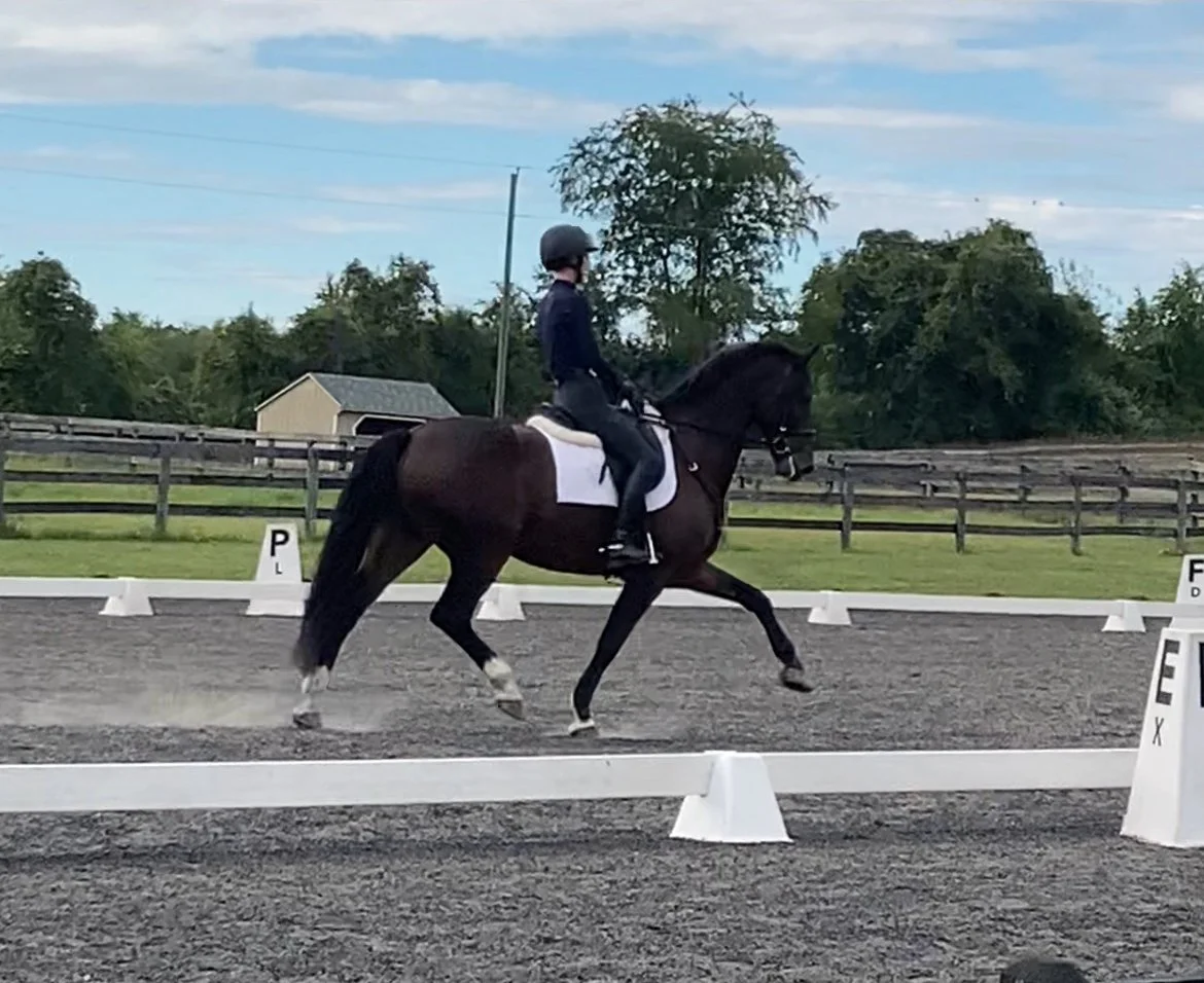Marcelo CRFD trot 1.jpg