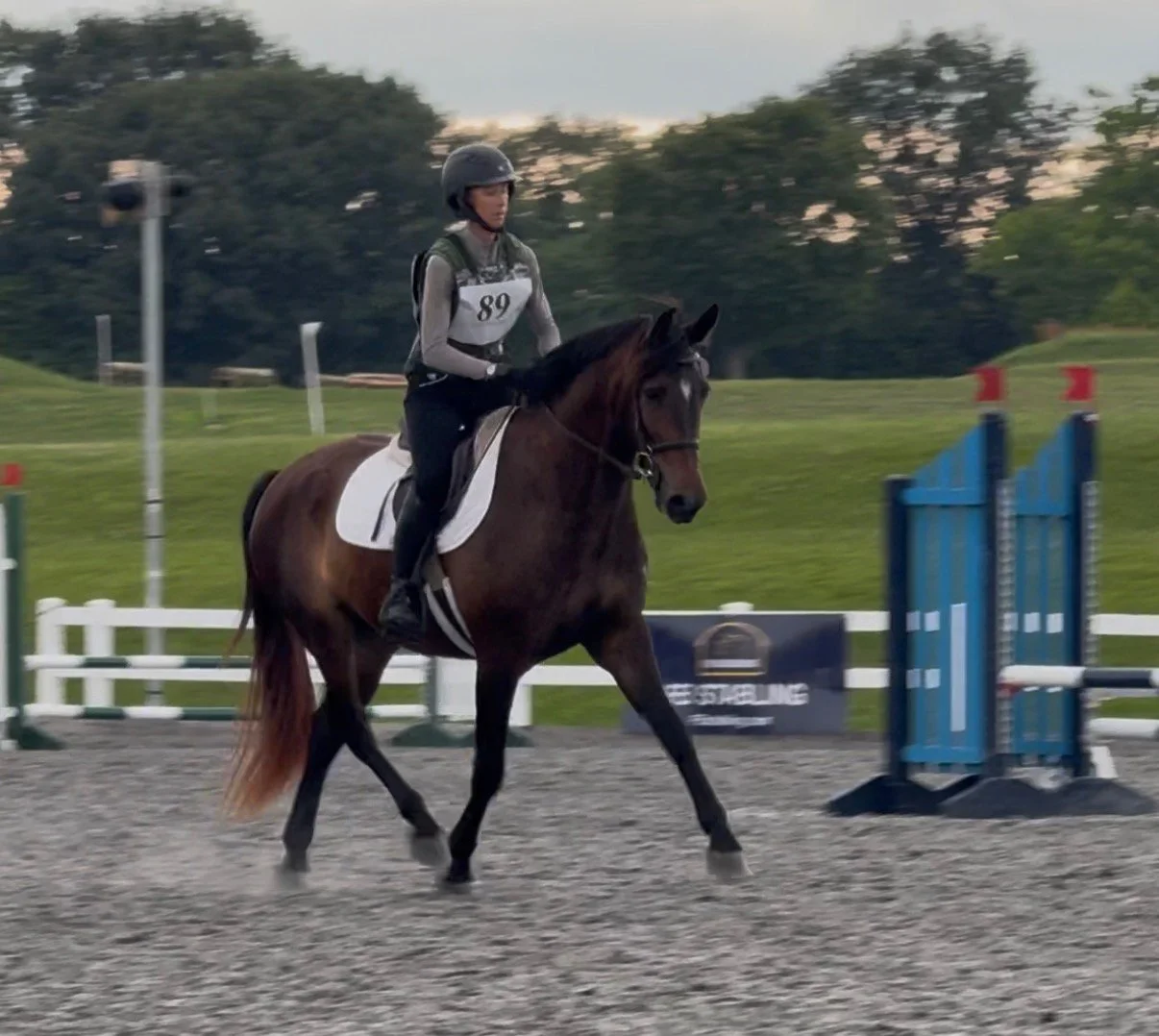 Zolin MDHTTW trot 1.jpg