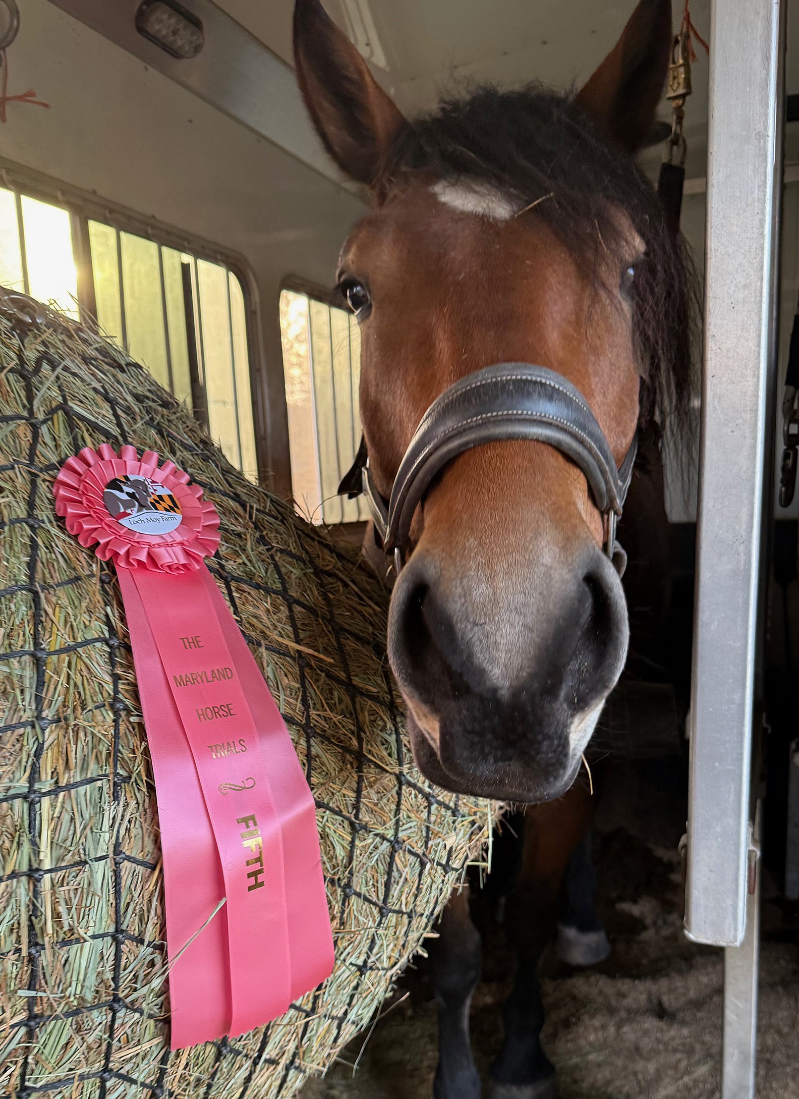 Bash MDHTST ribbon 1.jpg