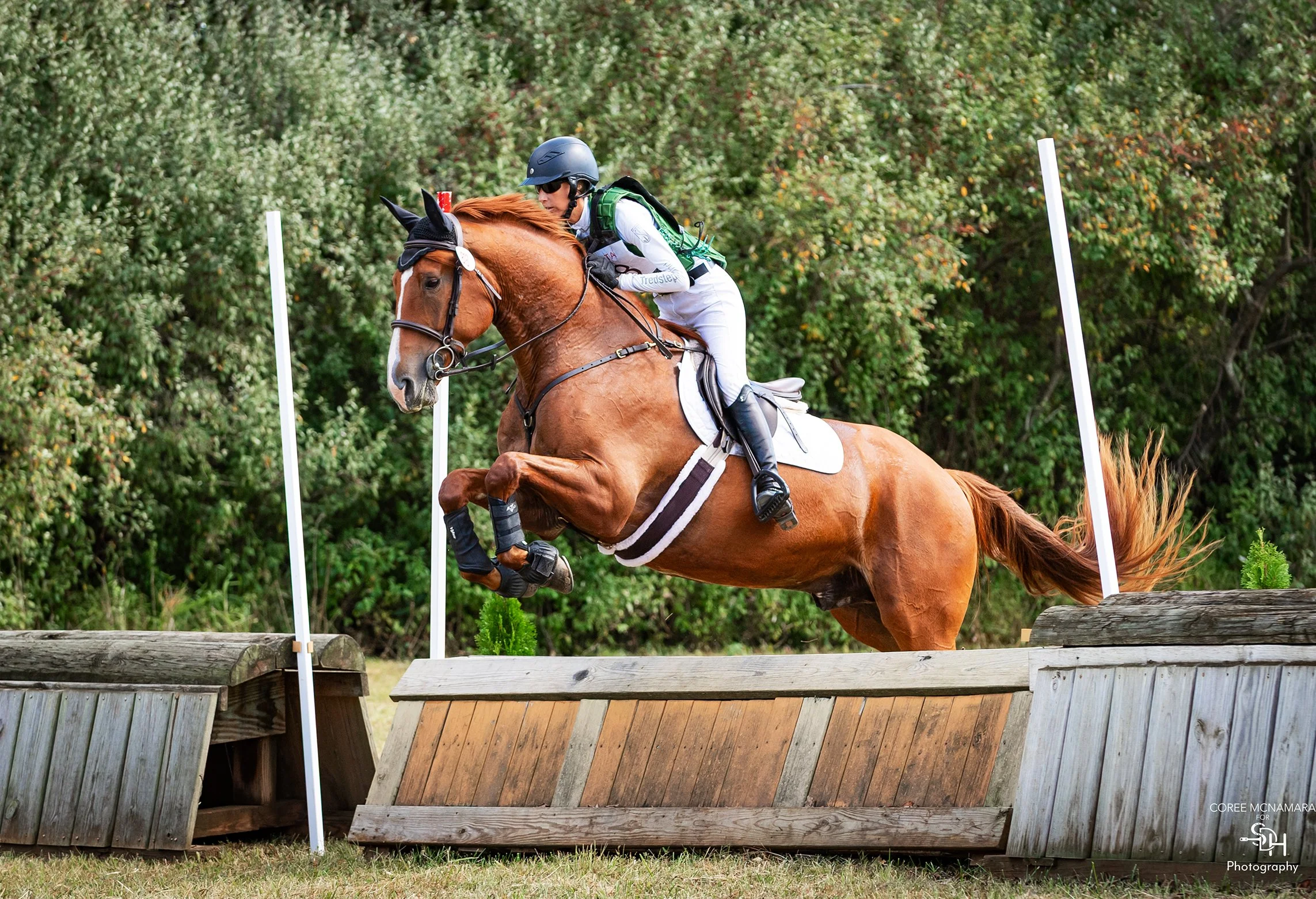 Titanium CDCTA prof xc jump 2 med.jpg