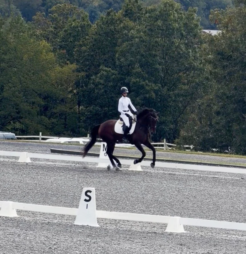 Jinn MDST canter 1.jpg