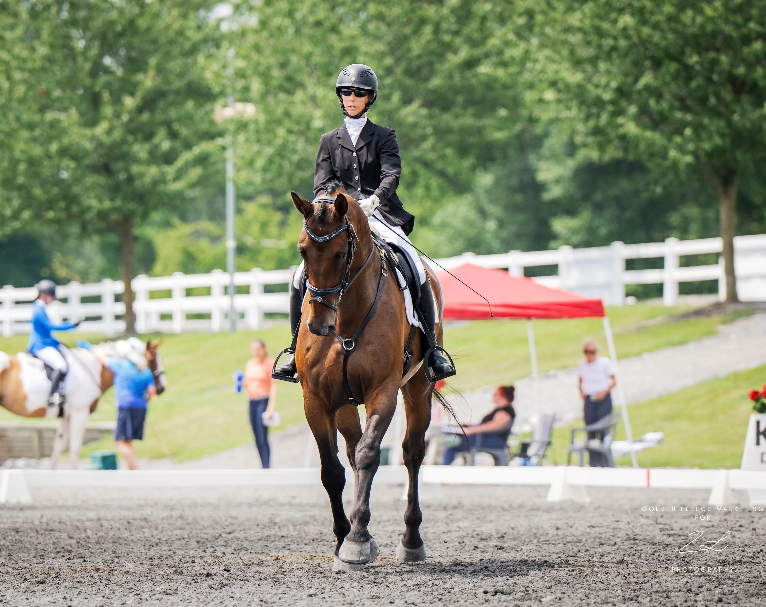 Jacek LMF Dressage trot 3.jpg
