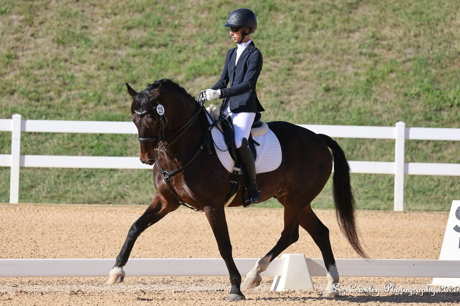Marcelo GAIG25 prof trot 2.jpg