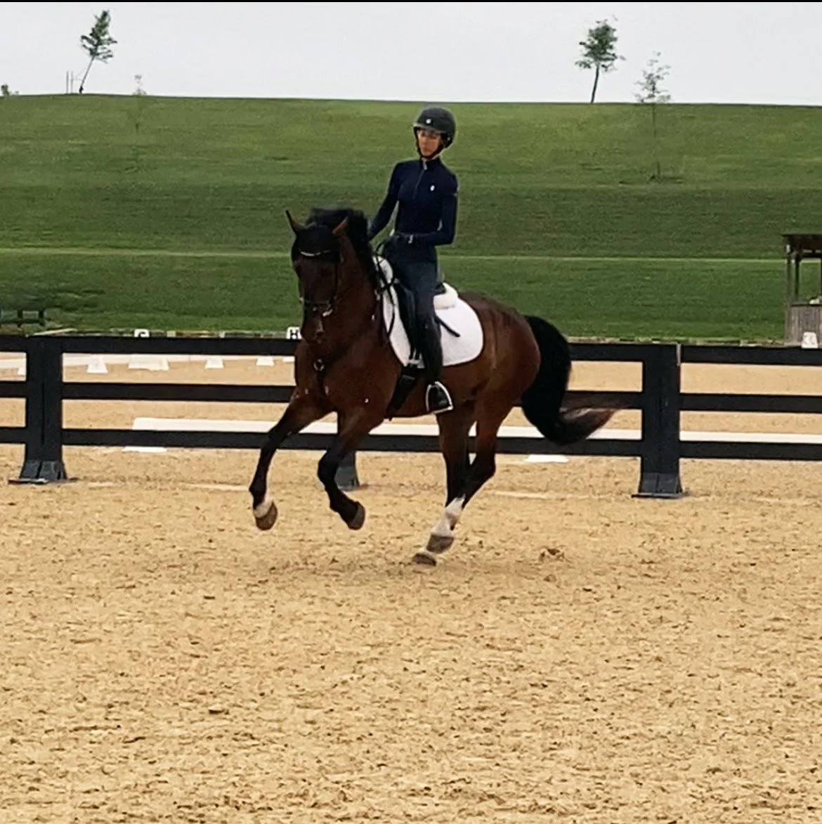 Marcelo MPDS canter 2.jpg