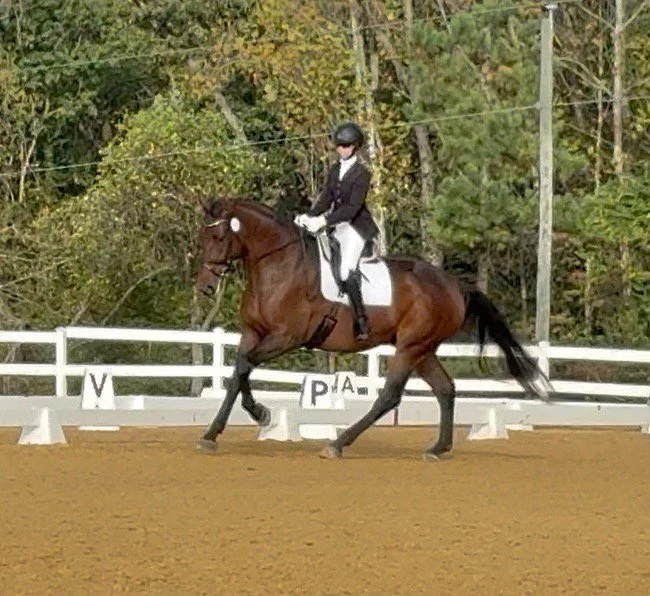 Jacek GAIG25 canter 2.jpg