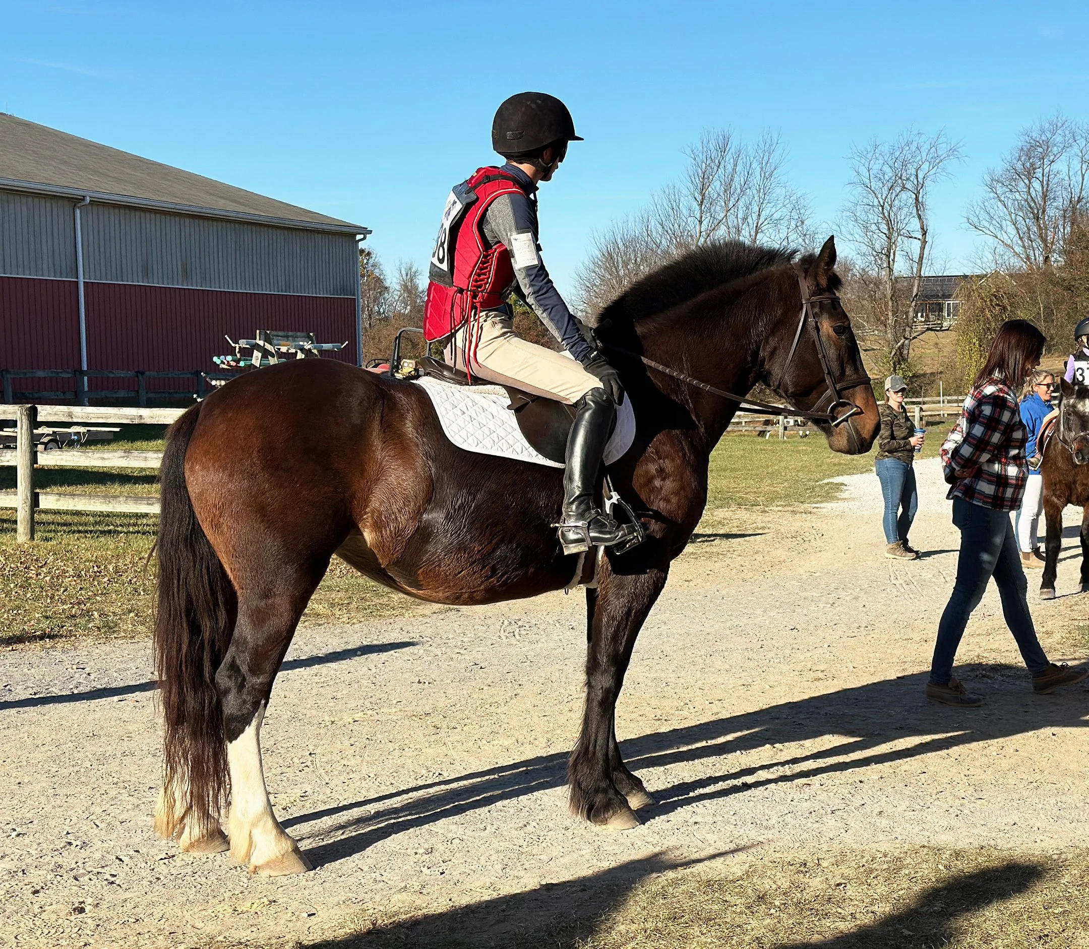 June WDST stand 2.jpg