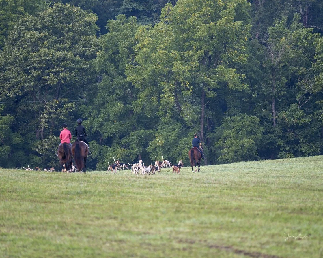 Mulch roading-hounds 1.jpg