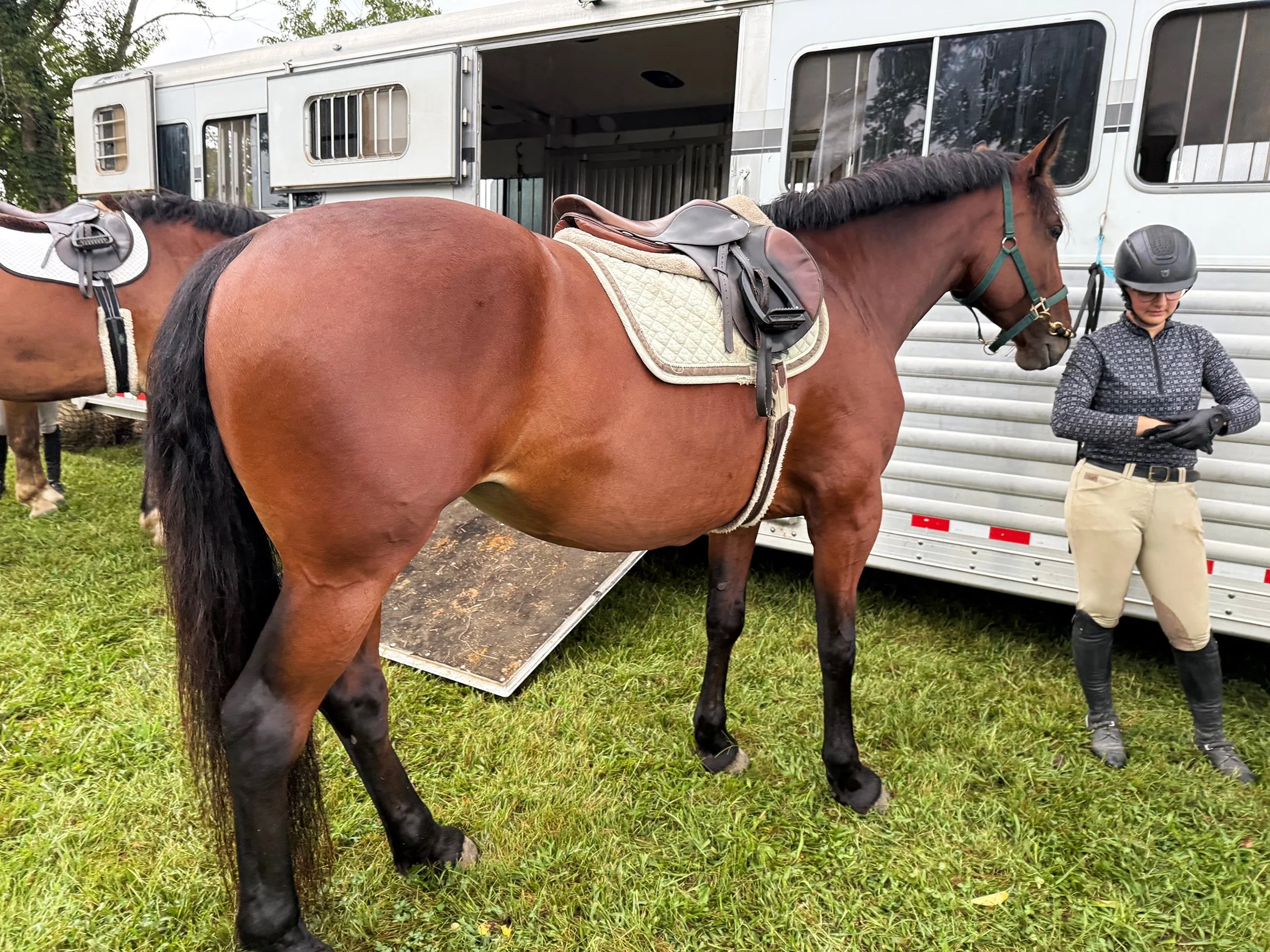 Nesta - roading 8-25-3.jpg