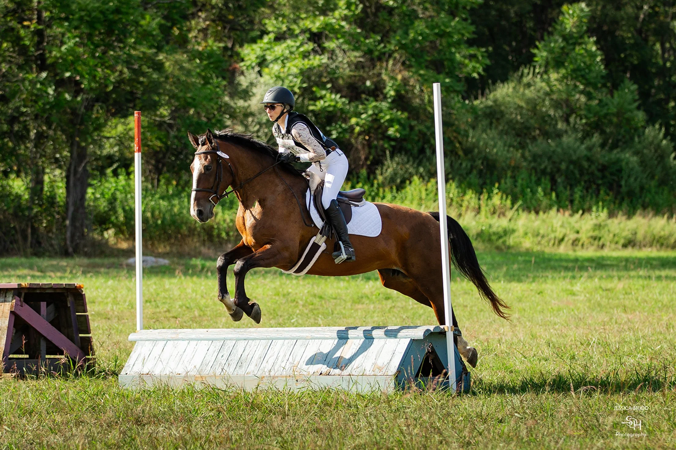 Tee CDCTA prof xc jump 2 med.jpg