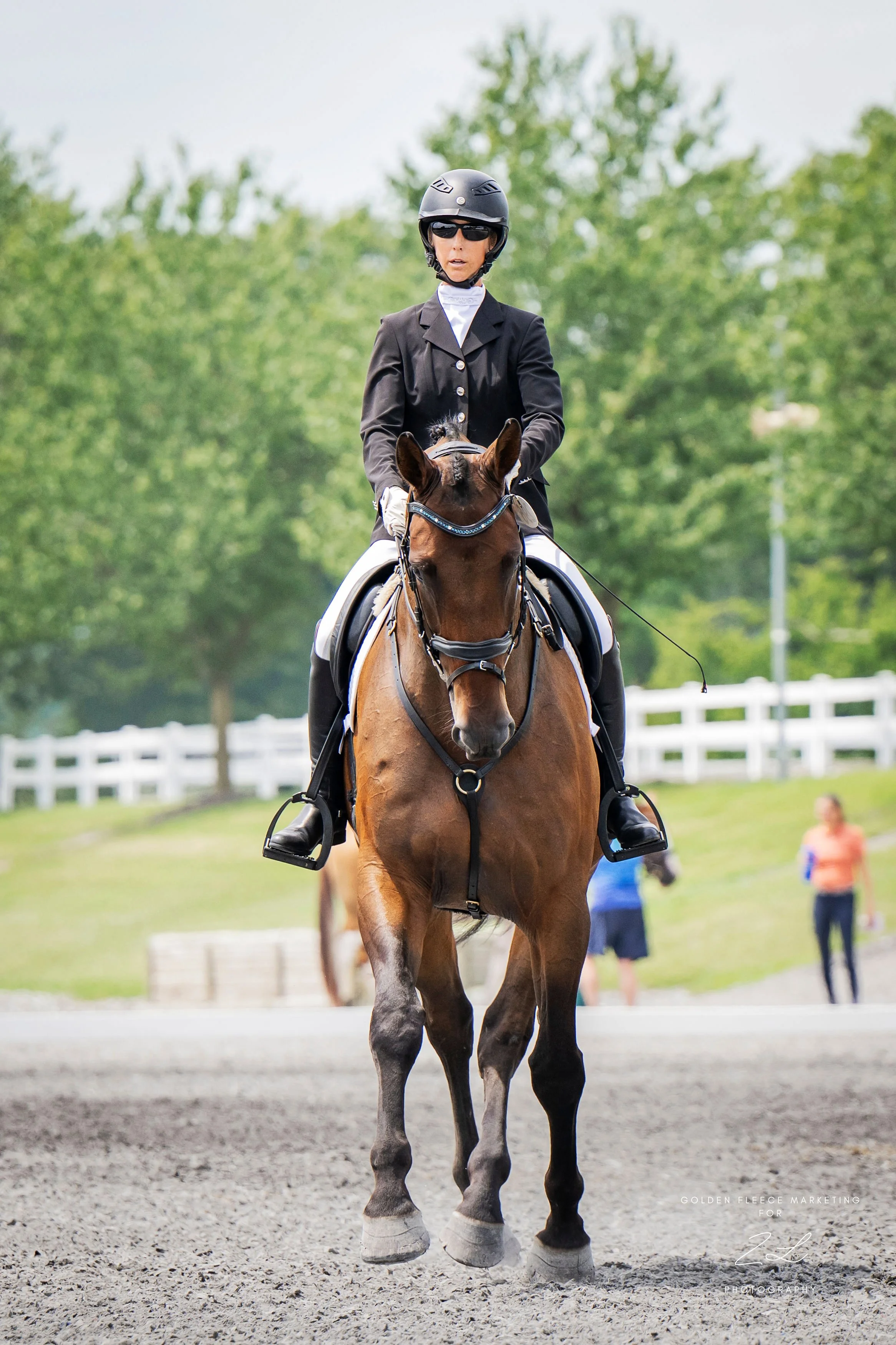 Jacek LMF Dressage trot 2.jpg