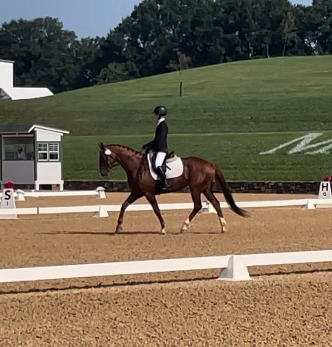 Cadenza MPDS trot 3.jpg