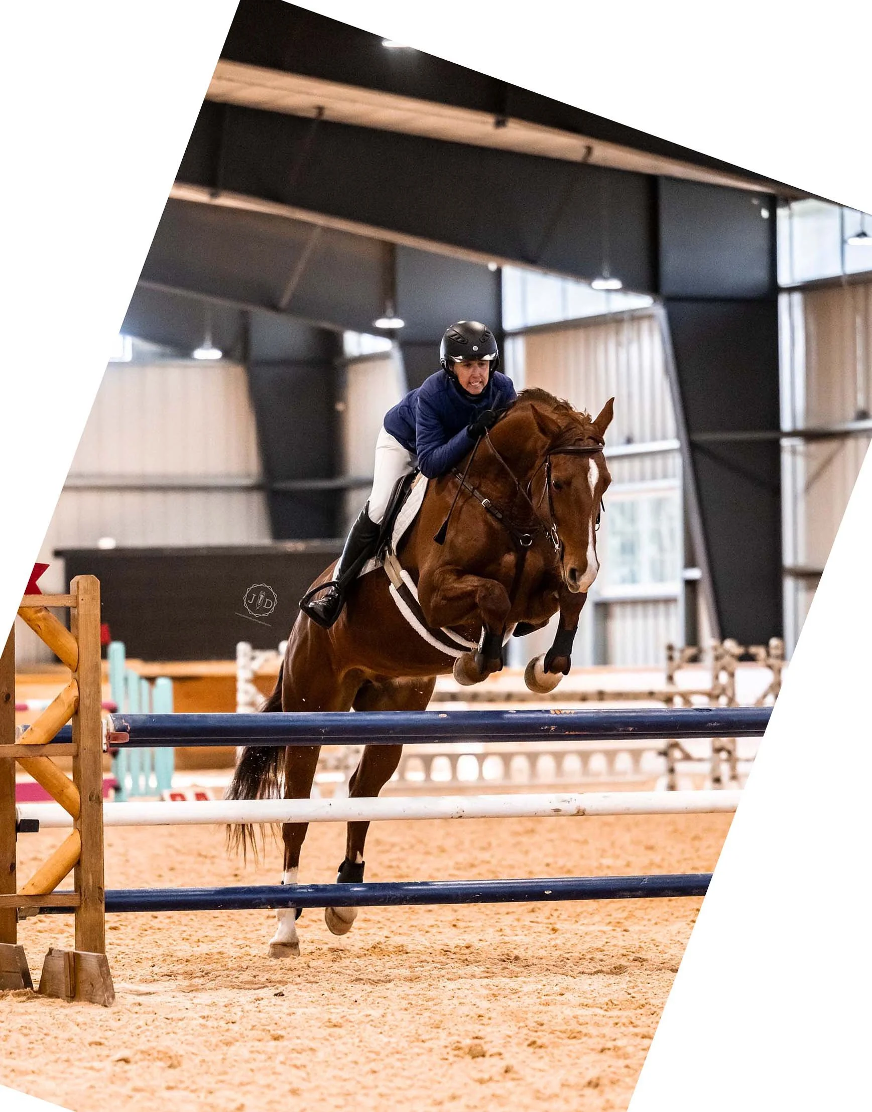 Cadenza MCDJS prof jump 4.jpg