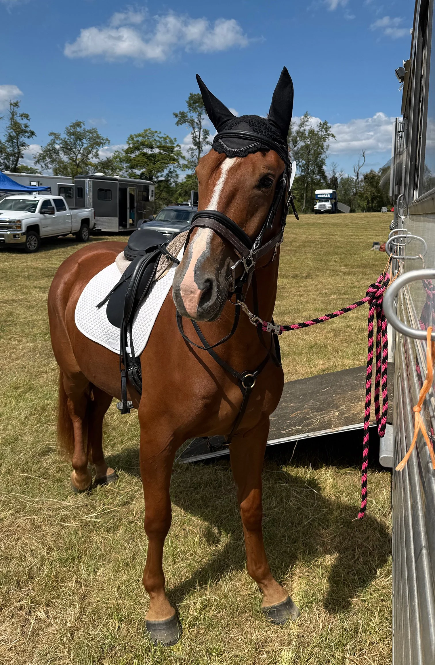 Titanium CDCTA tie 2.jpg