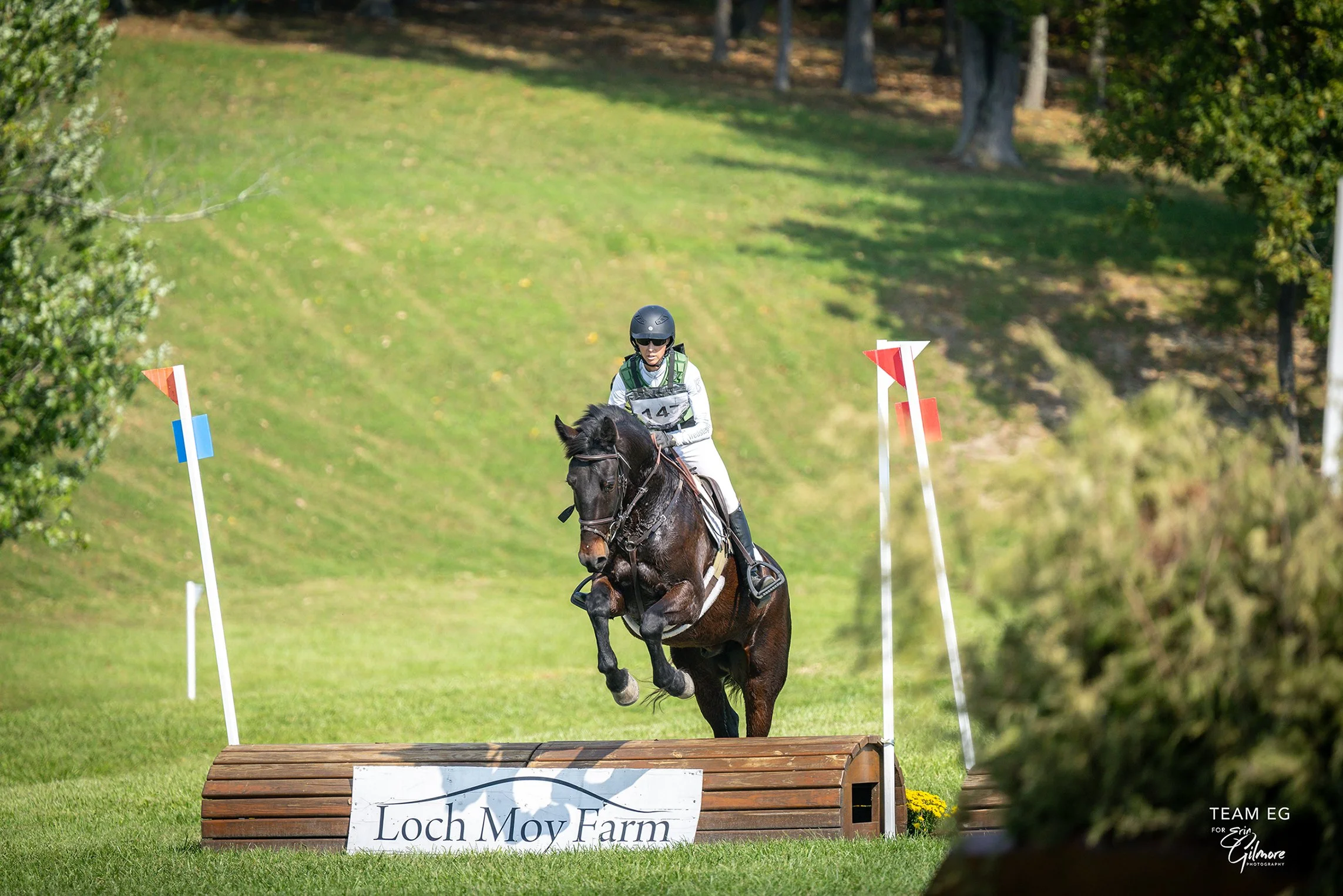 Mulch MDHT prof xc jump 1 med.jpg