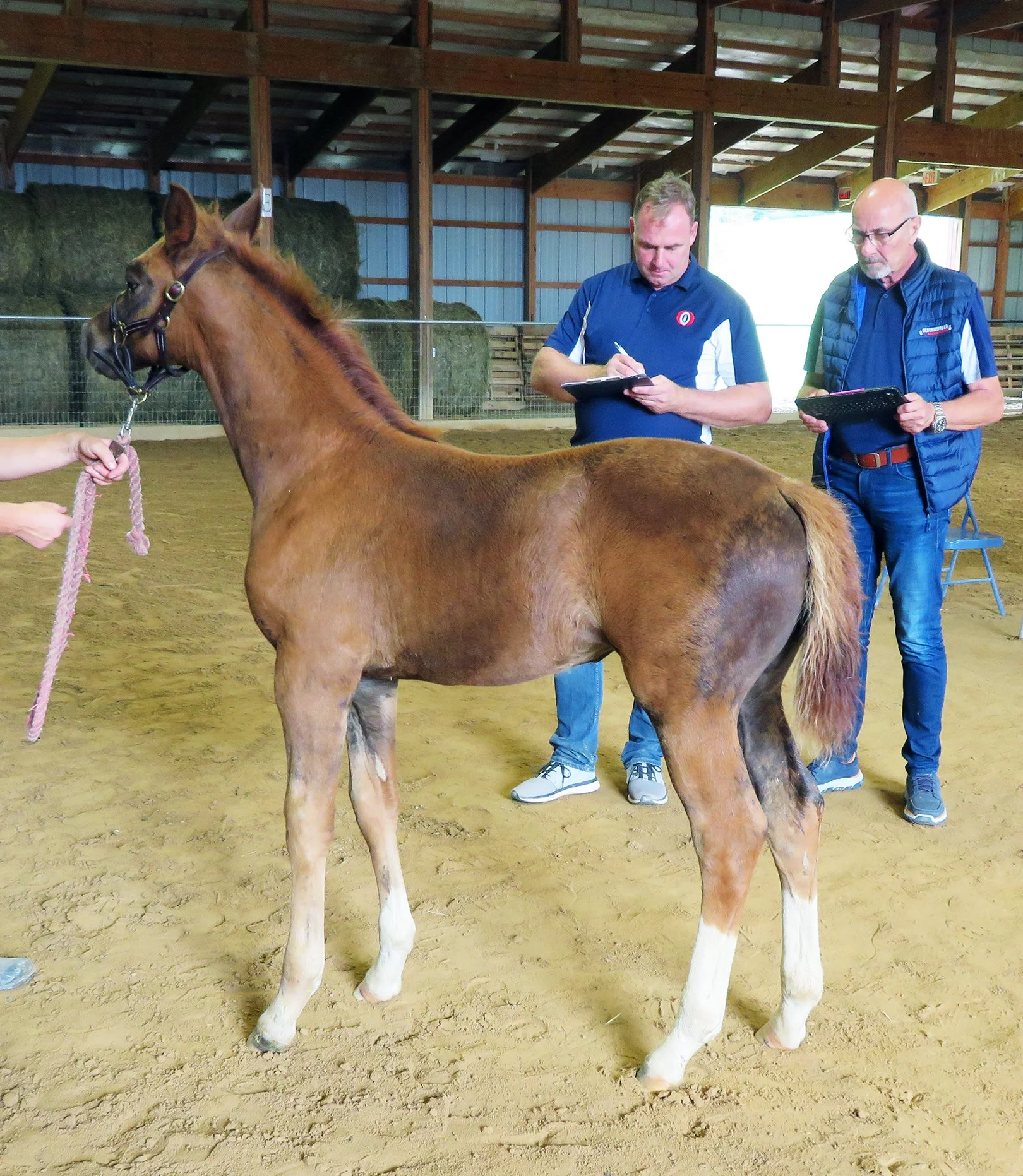 Bemuse inspection LS 1.jpg