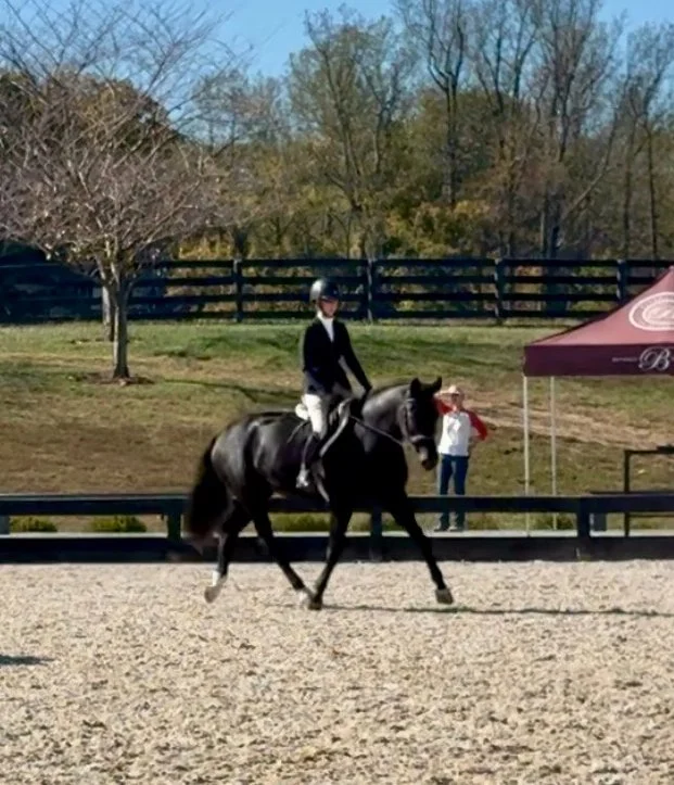 Fierce BVHS trot 3.jpg