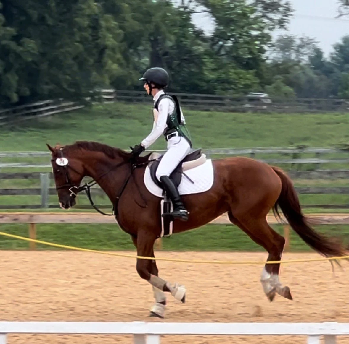 Cadenza WDHT canter 1.jpg