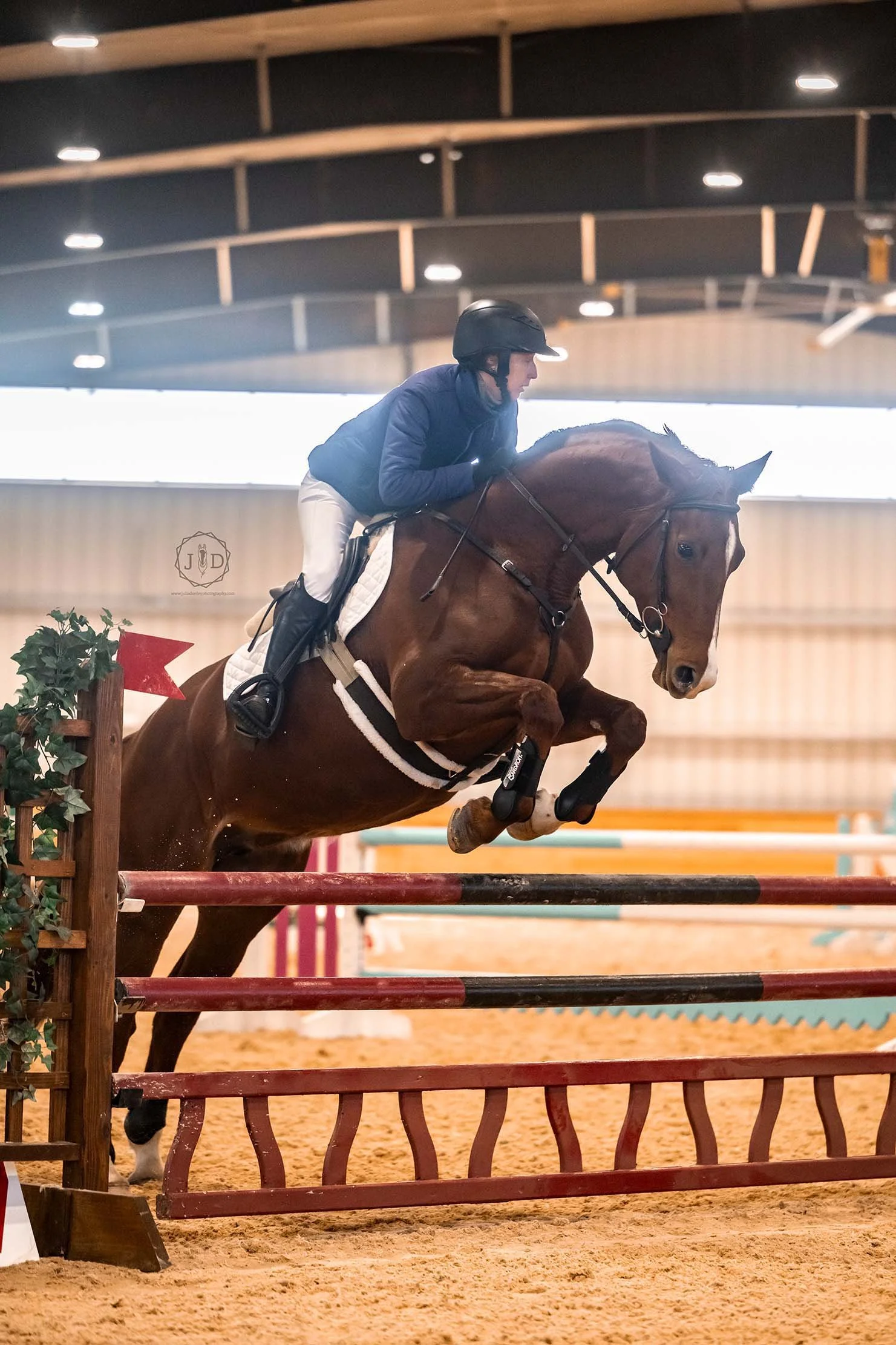 Cadenza MCDJS prof jump 2.jpg