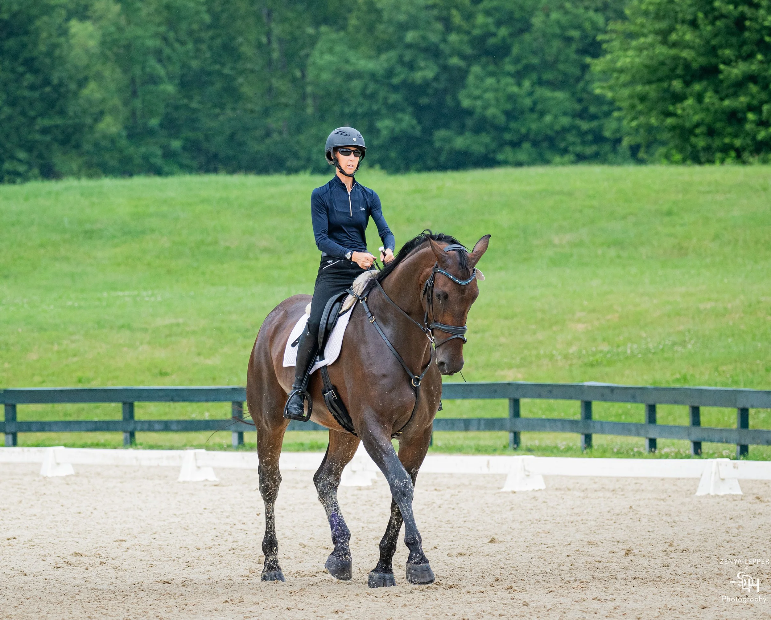 Jacek GMDS 7-26 trot 2 med.jpg