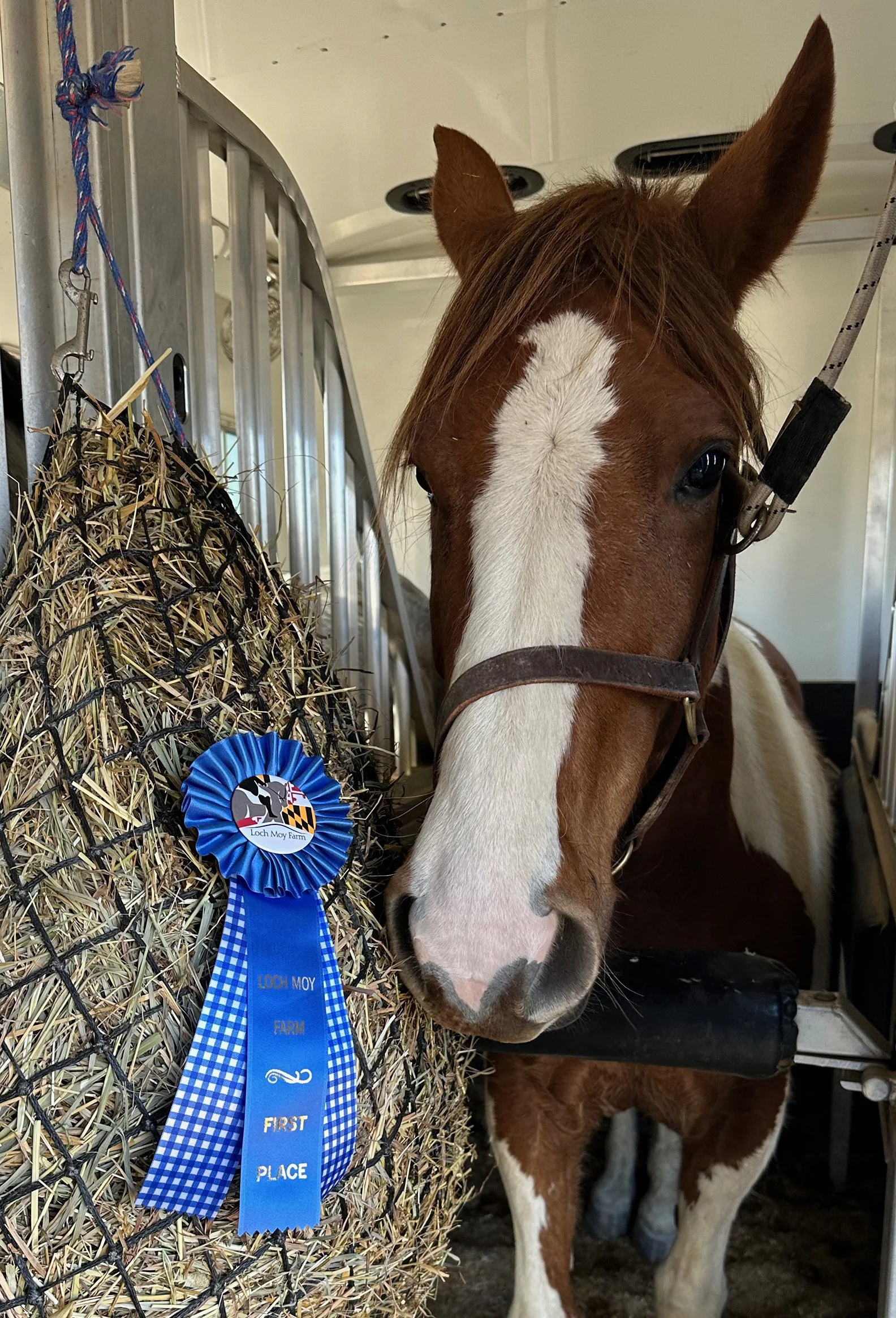 Fish 2 MDHTED ribbon 1.jpg