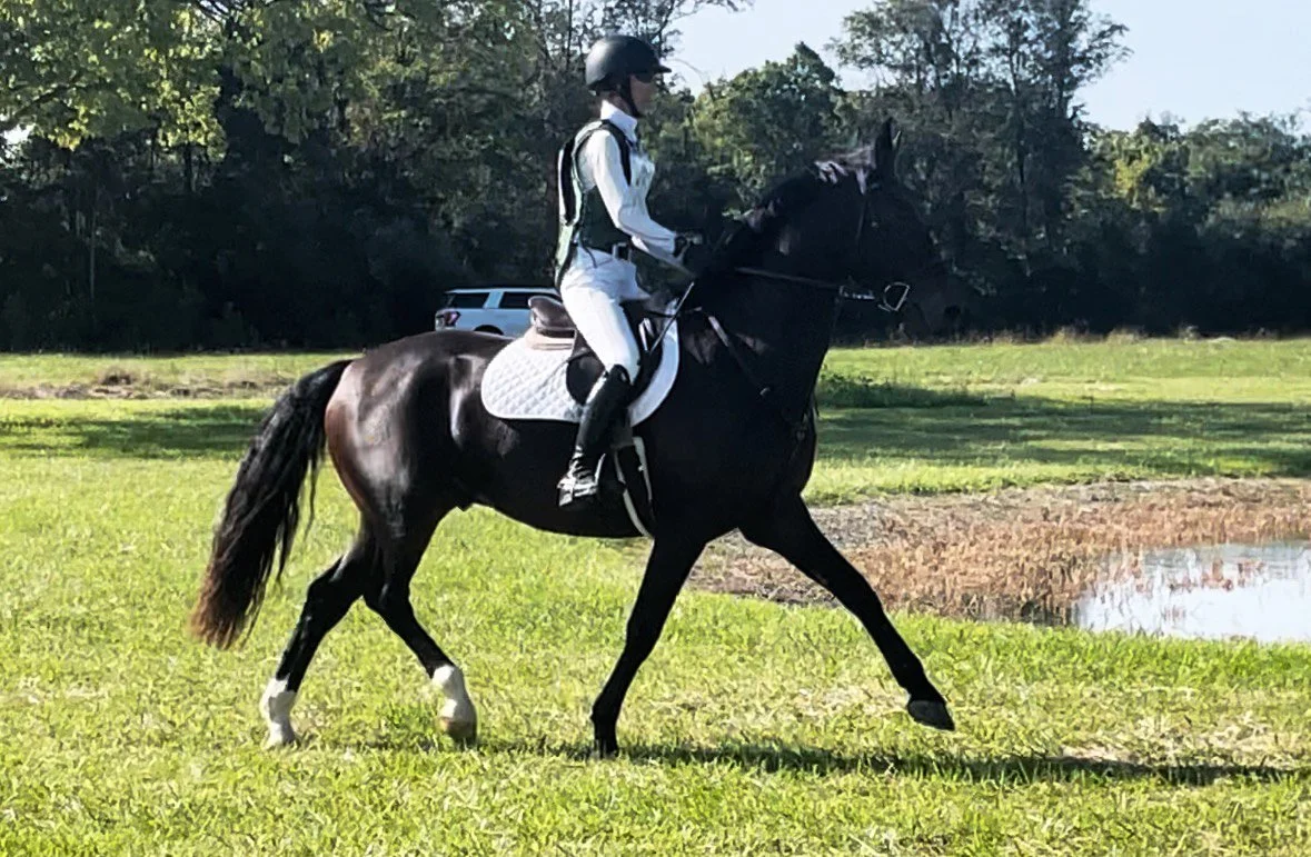 Mulch CDCTA xc trot 2.jpg