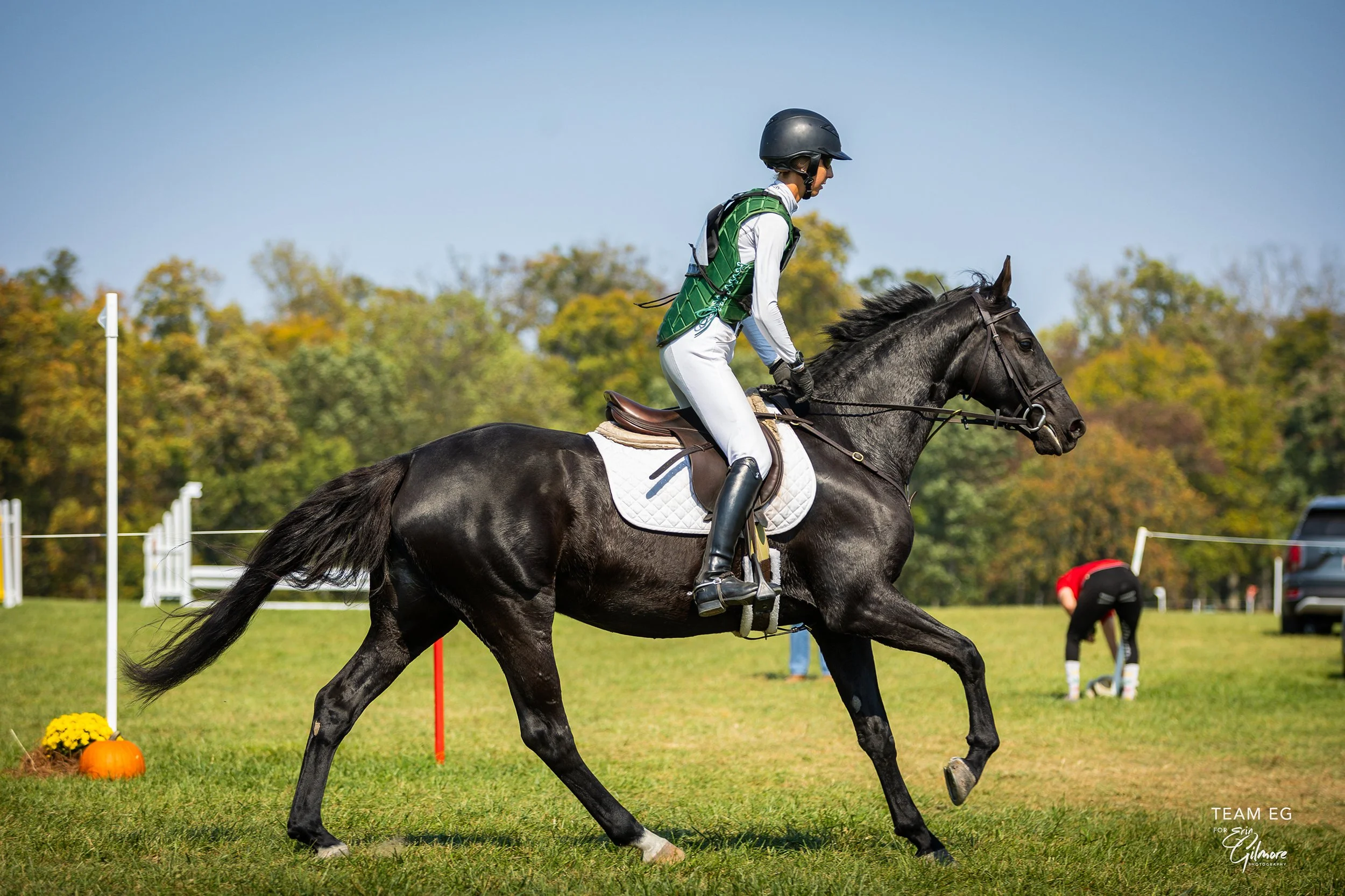 Sasha MDST prof xc gallop 1 med.jpg