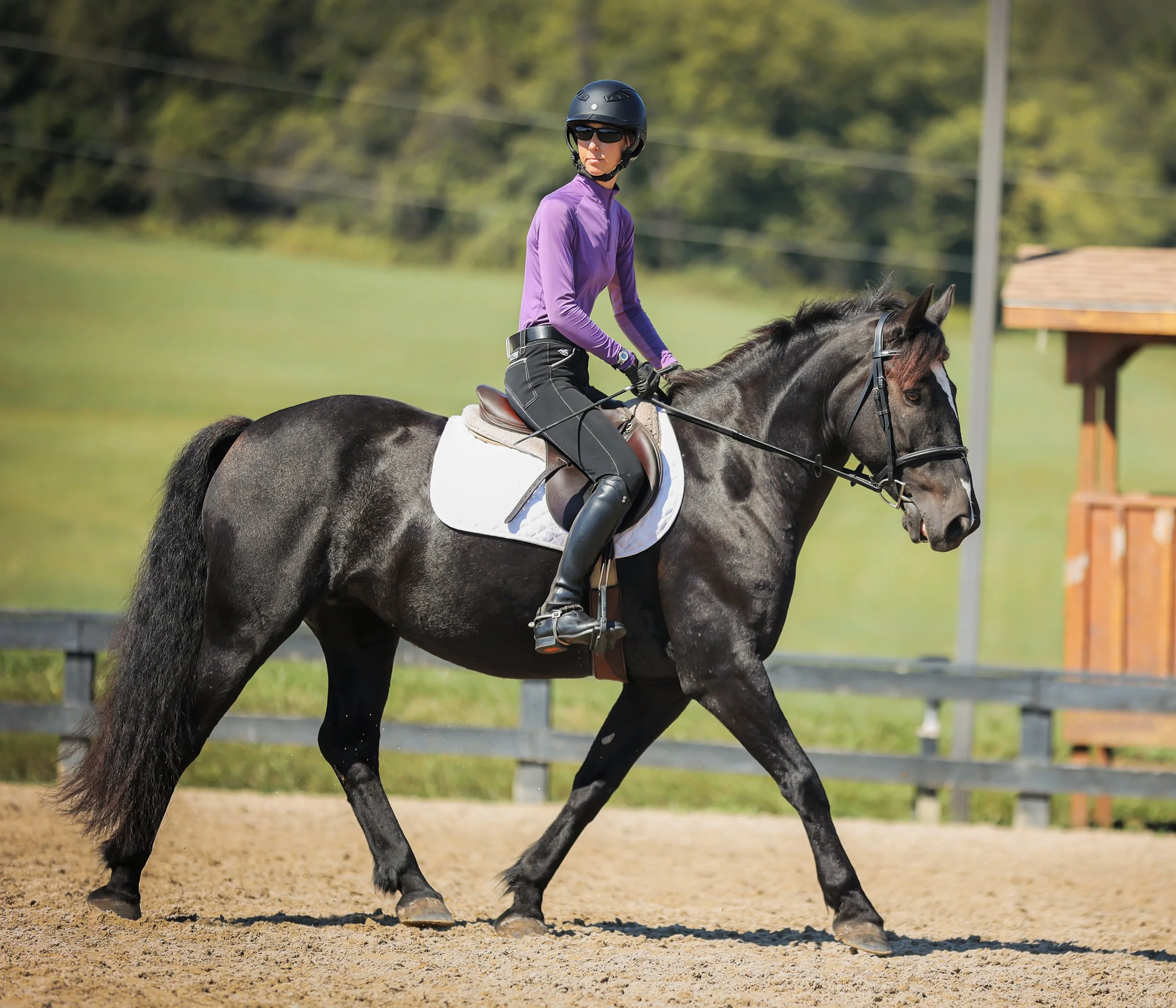 Ruca RGST prof trot 2 med.jpg