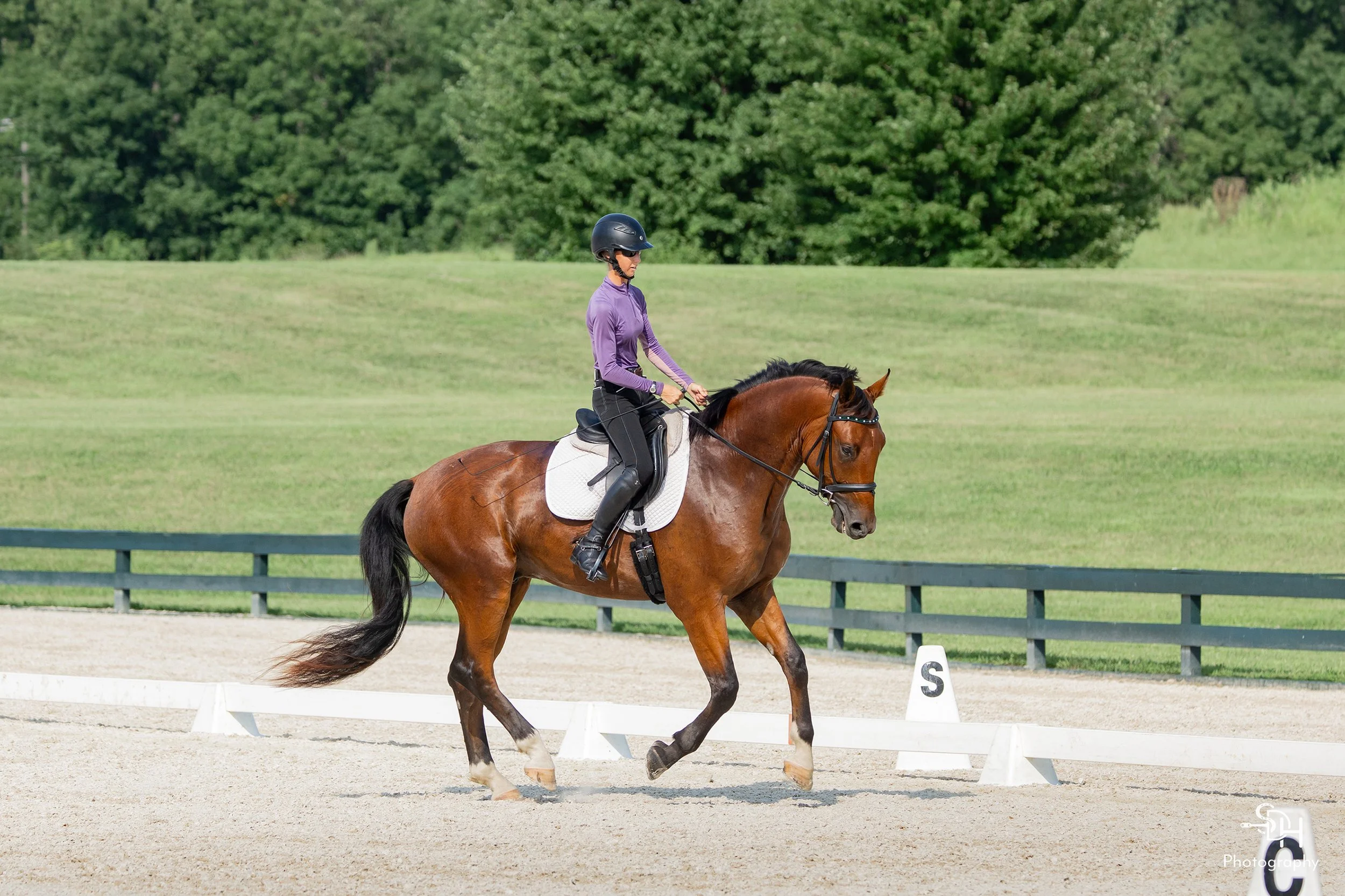 Fame GMDS2 canter 1 med.jpg