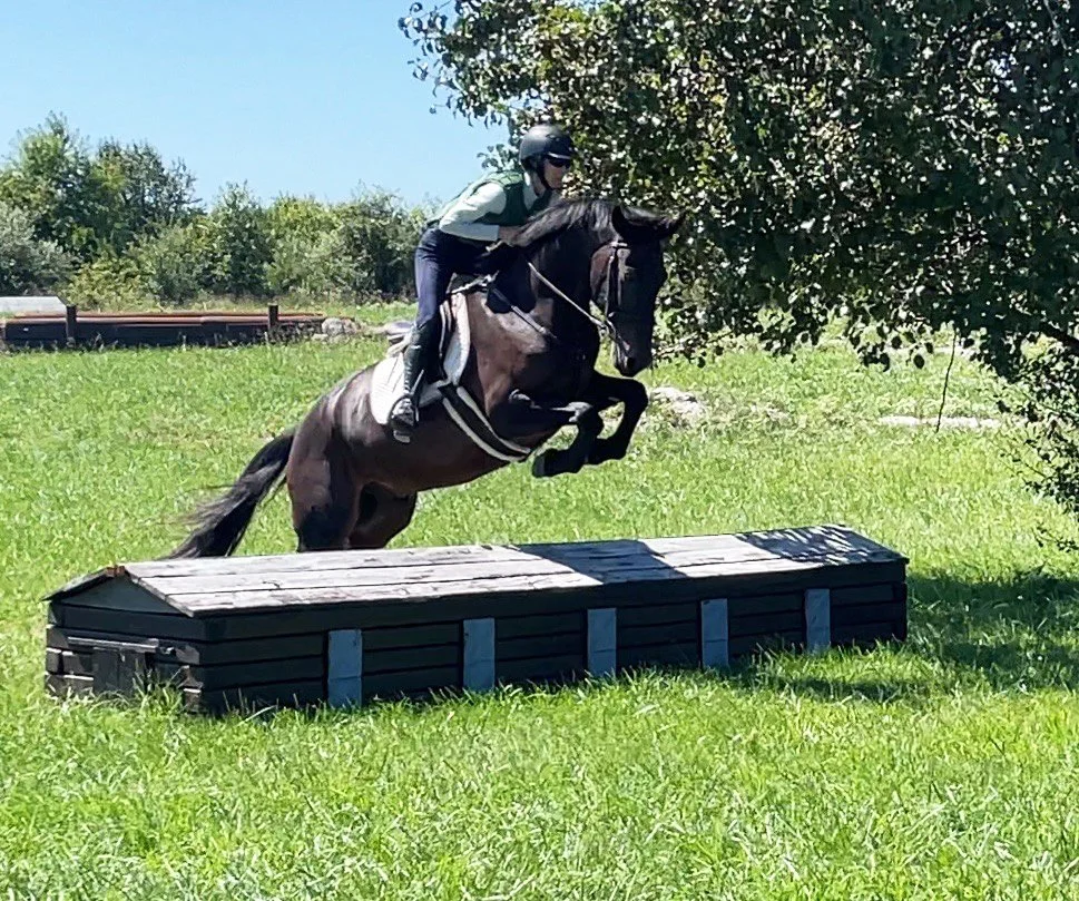 Mulch XC jump 3.jpg