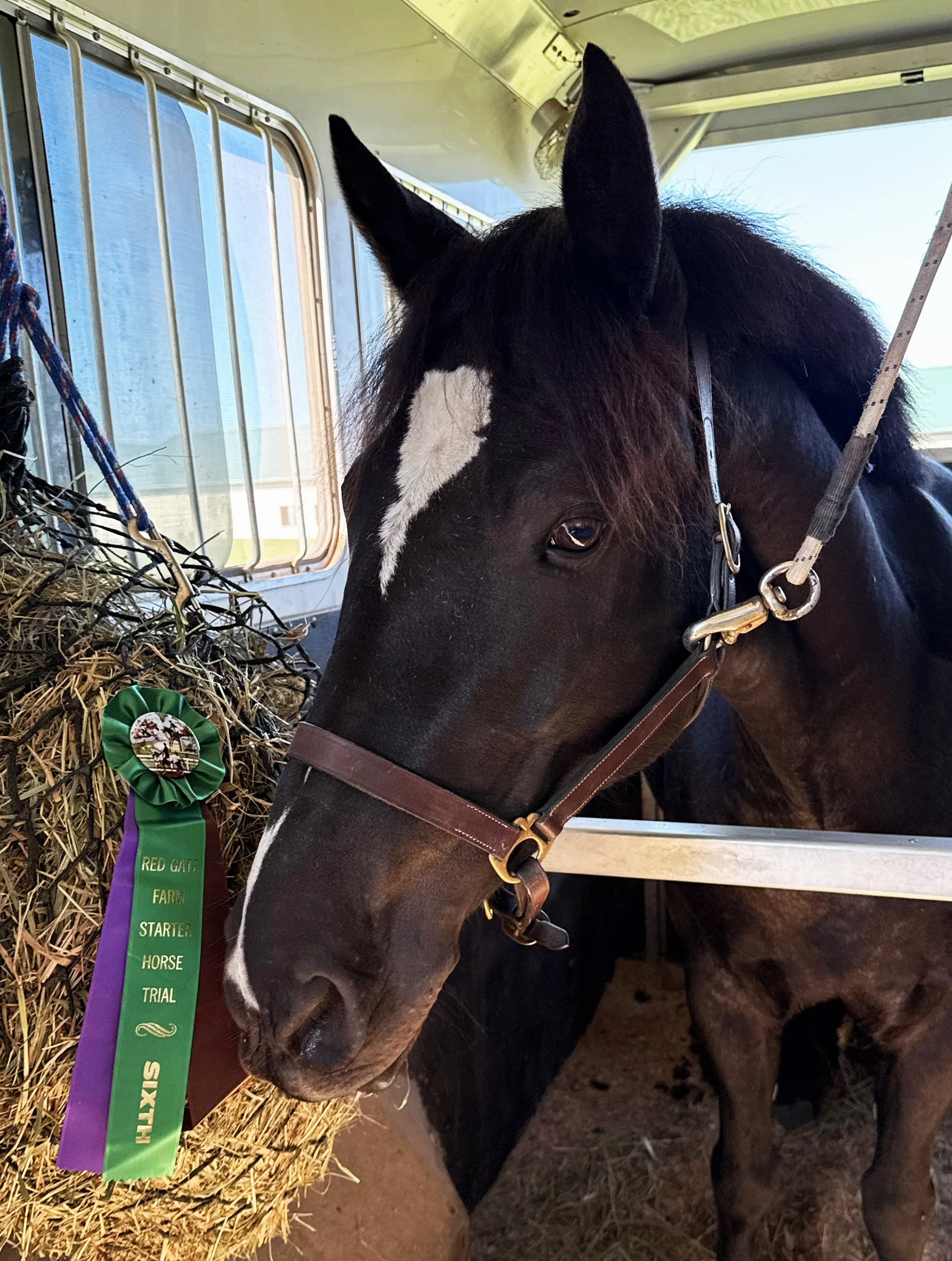 Ruca RGST ribbon 1.jpg