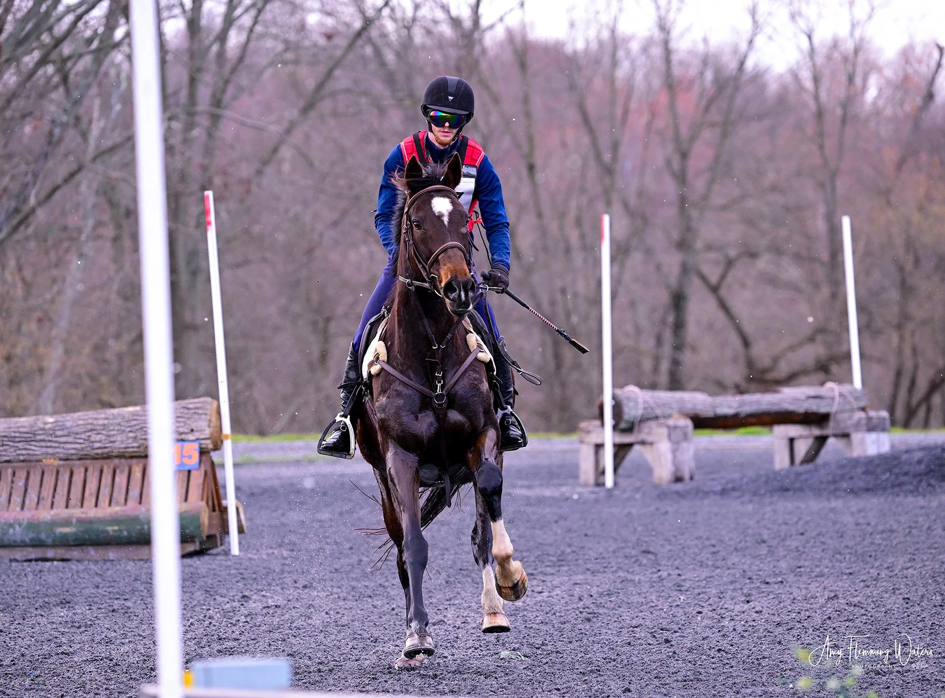 Jelly Bean MDHTED prof canter 1.jpg