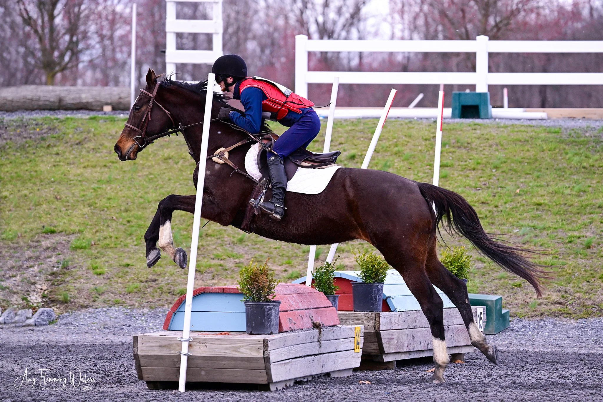 Jelly Bean MDHTED prof jump 1.jpg