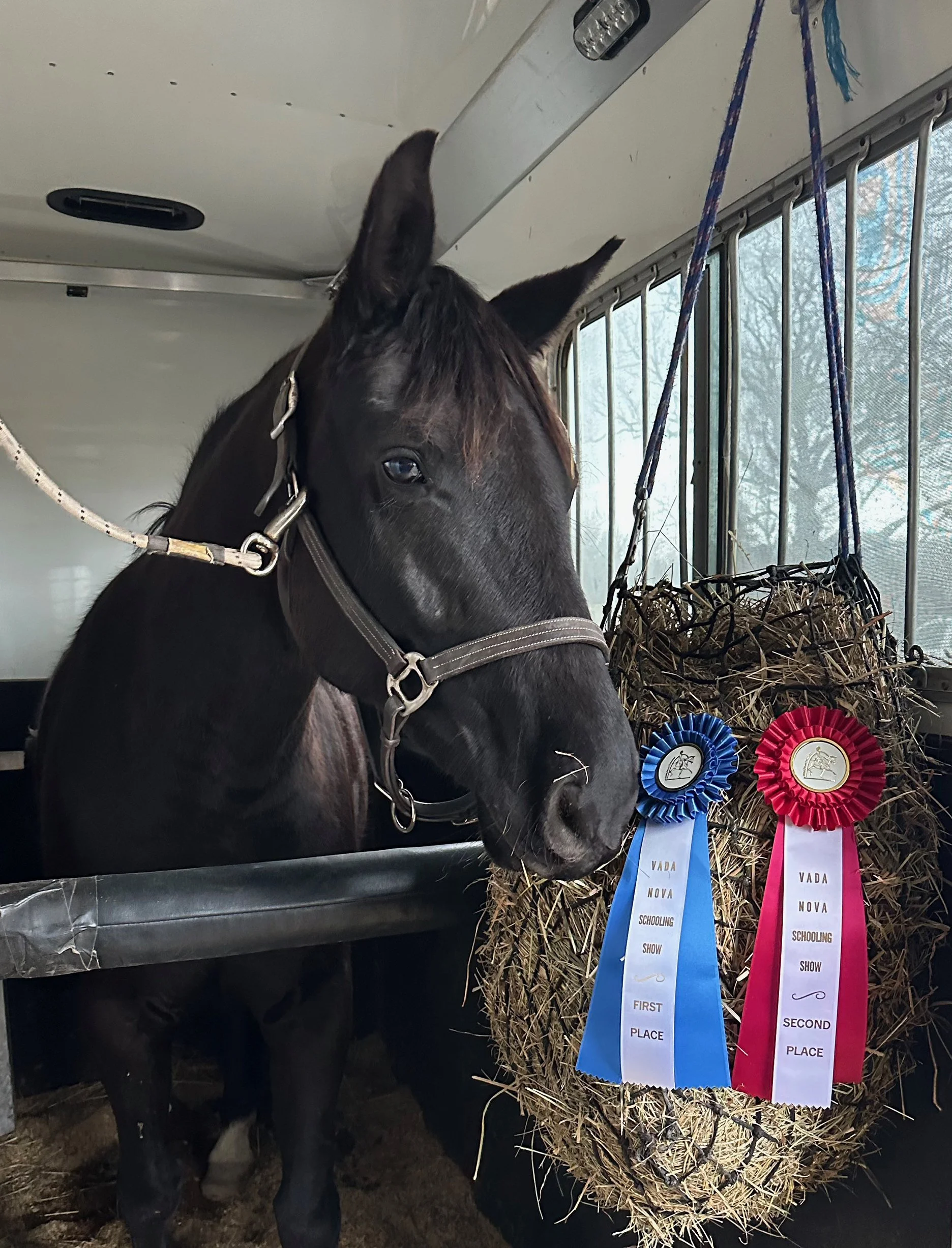 Fierce MPDS ribbon 1.jpg