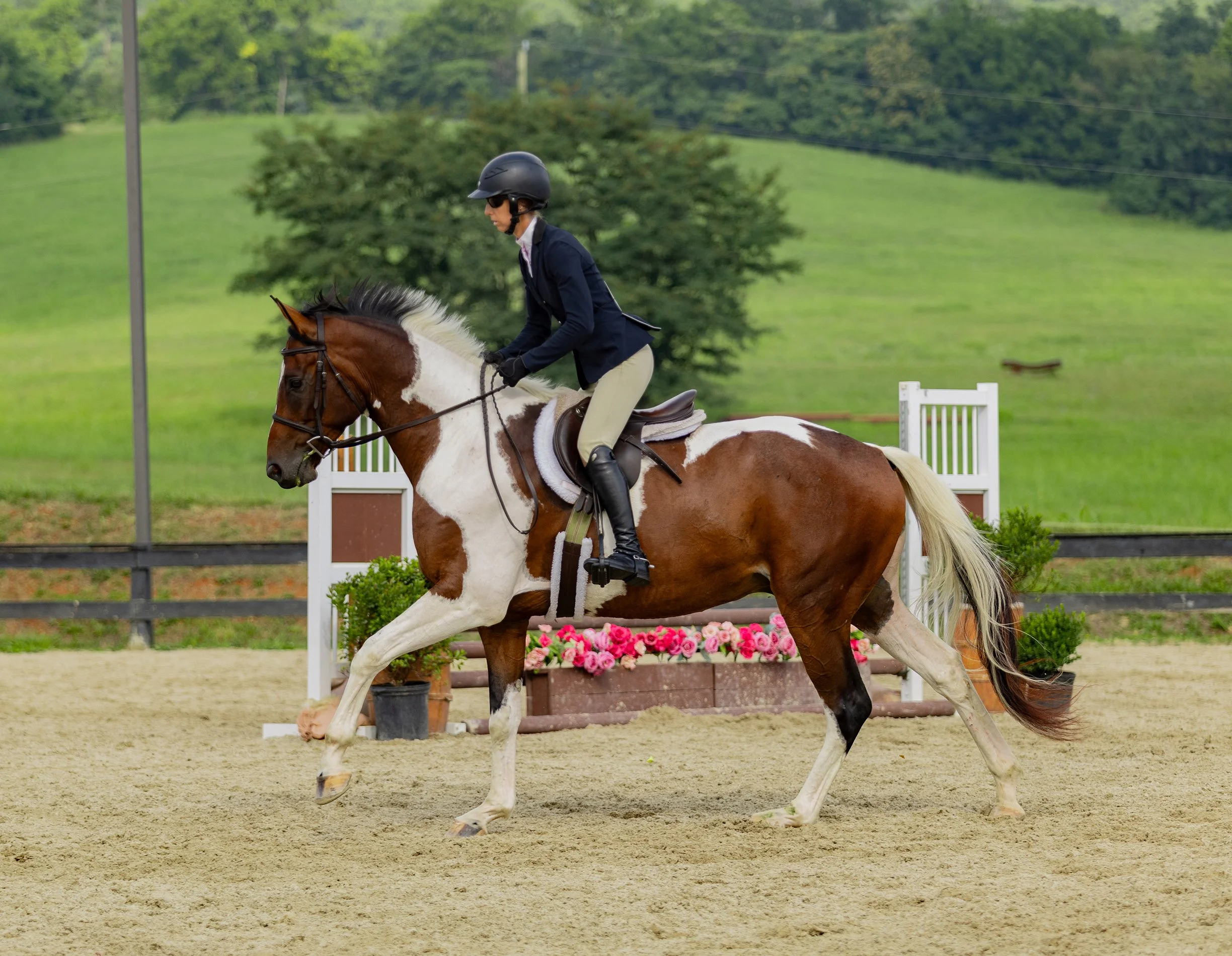 Gelos RGF canter 1 med.jpg