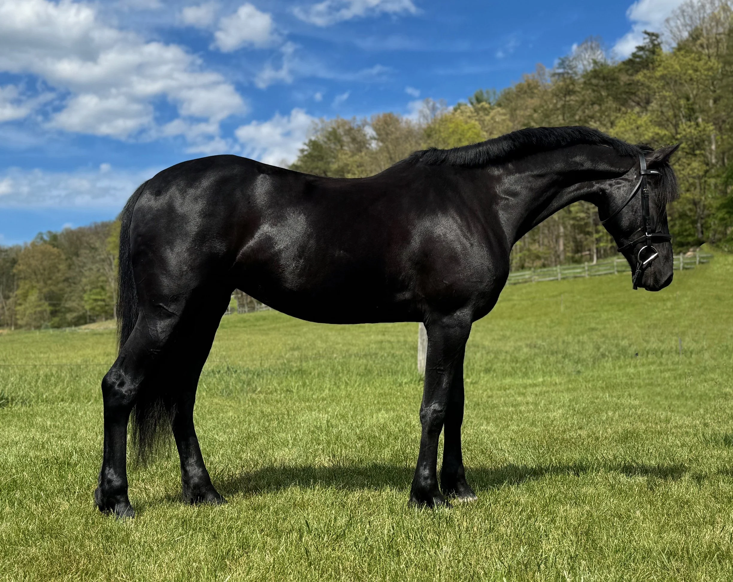 Maggie RS 5-26-2g.jpg