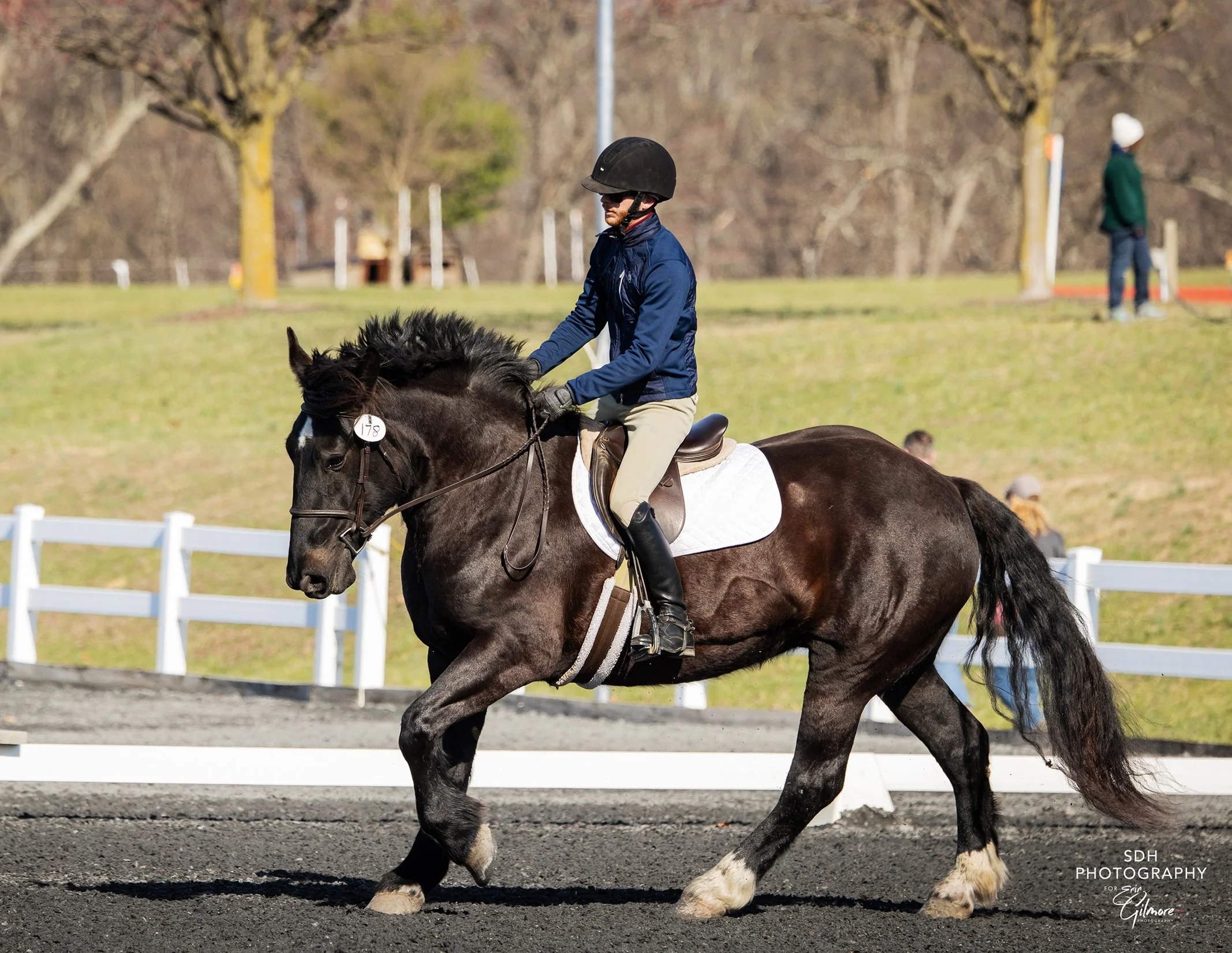 Sylvi MDST prof canter 1 med.jpg