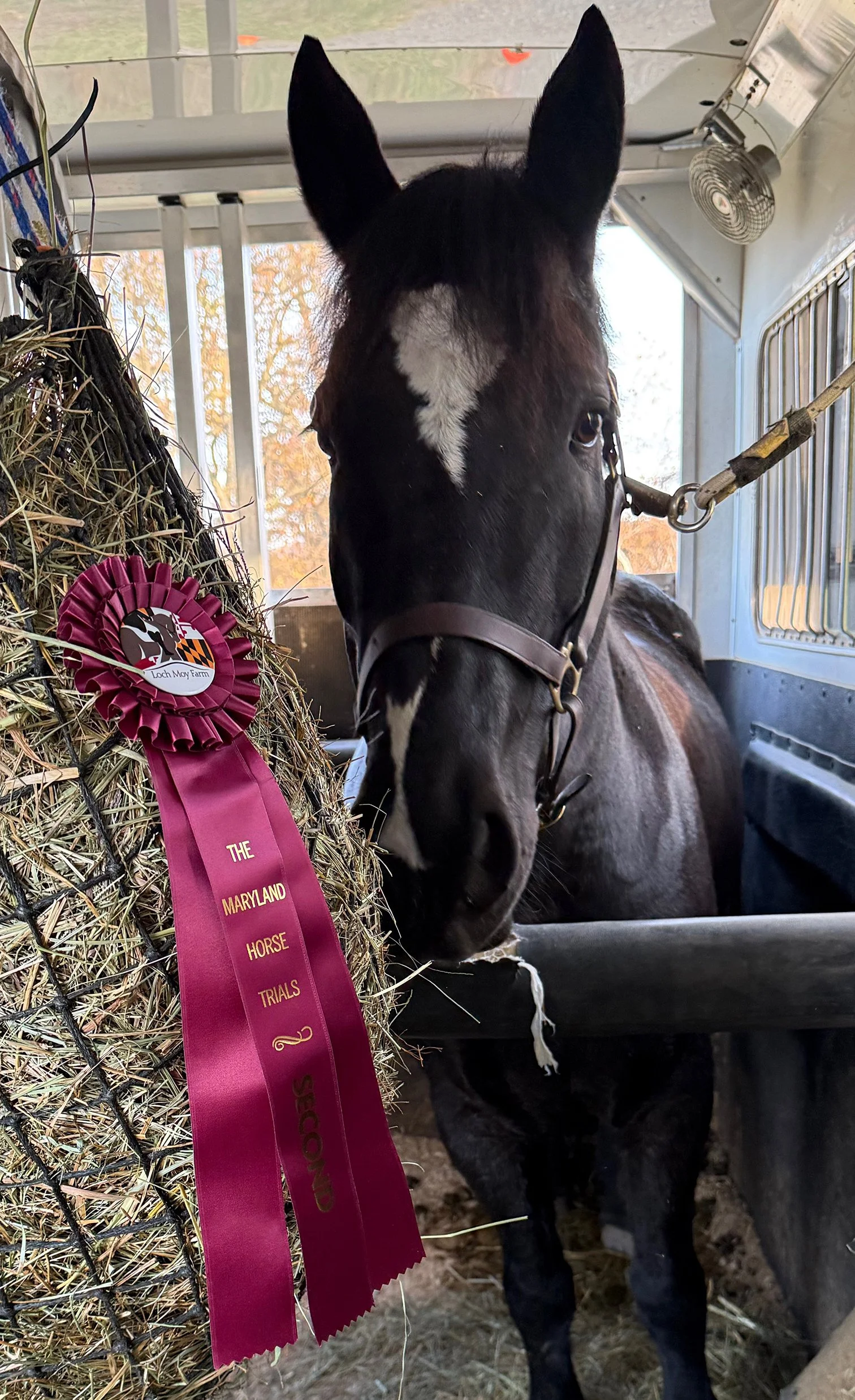 Ruca MDHTST ribbon 1.jpg