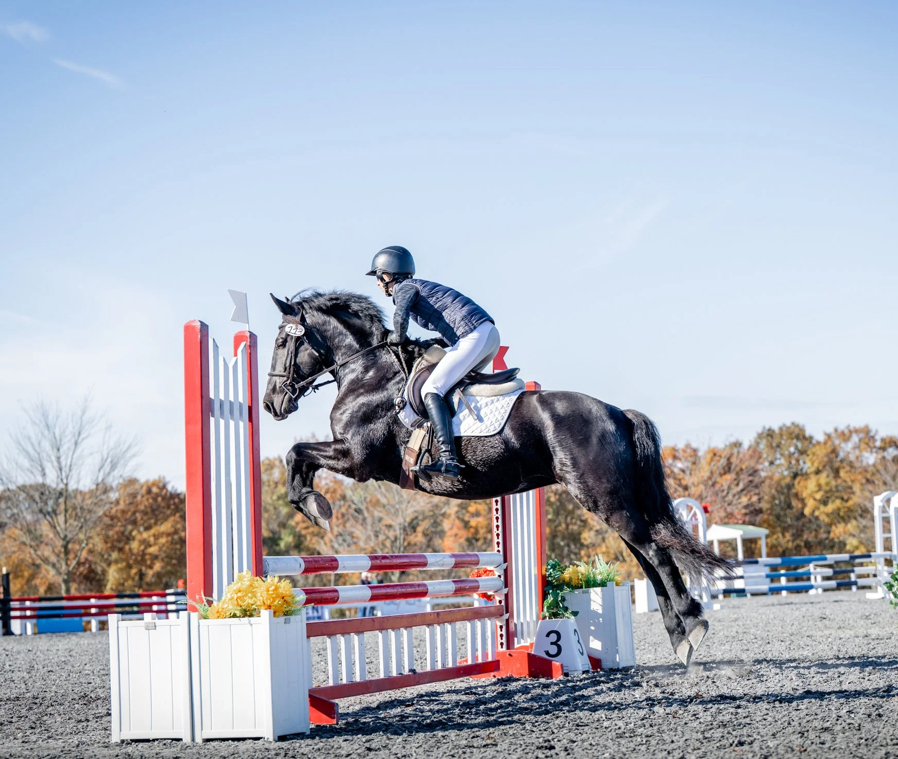 Ruca MDHTST prof jump 1.jpg