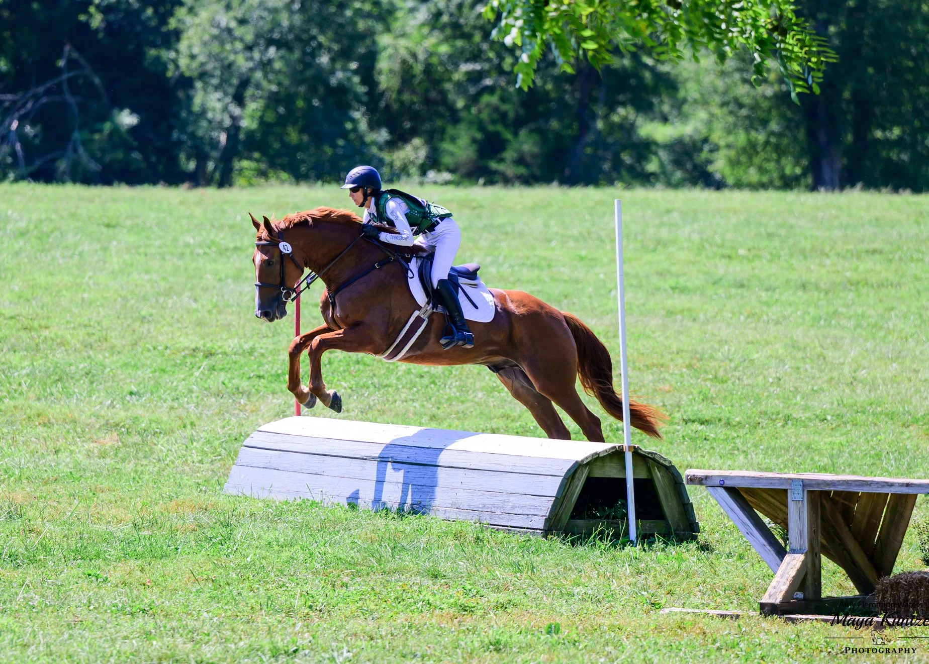 Titanium WDST prof xc jump 1.jpg