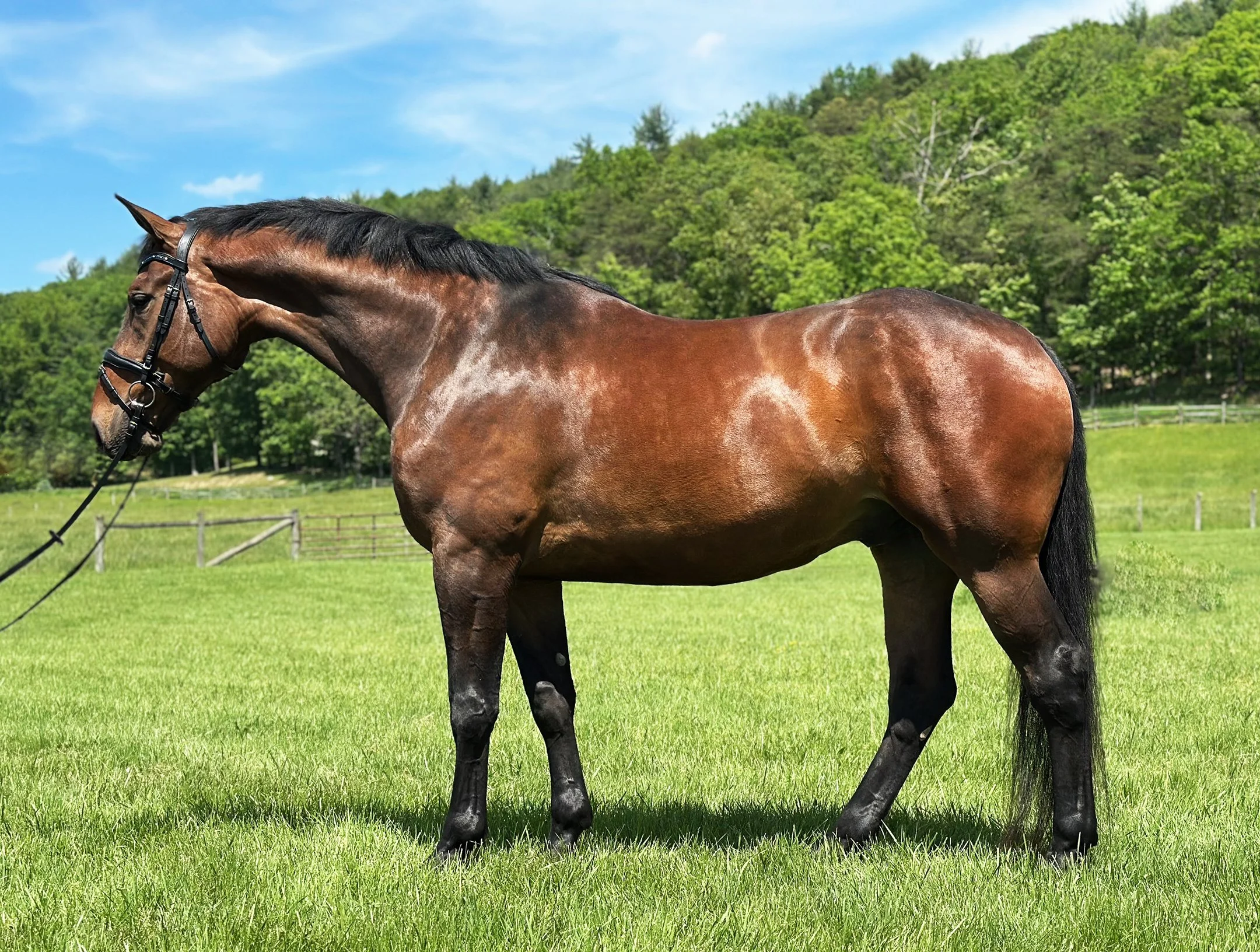 Jacek 5-25 LS 2G.jpg