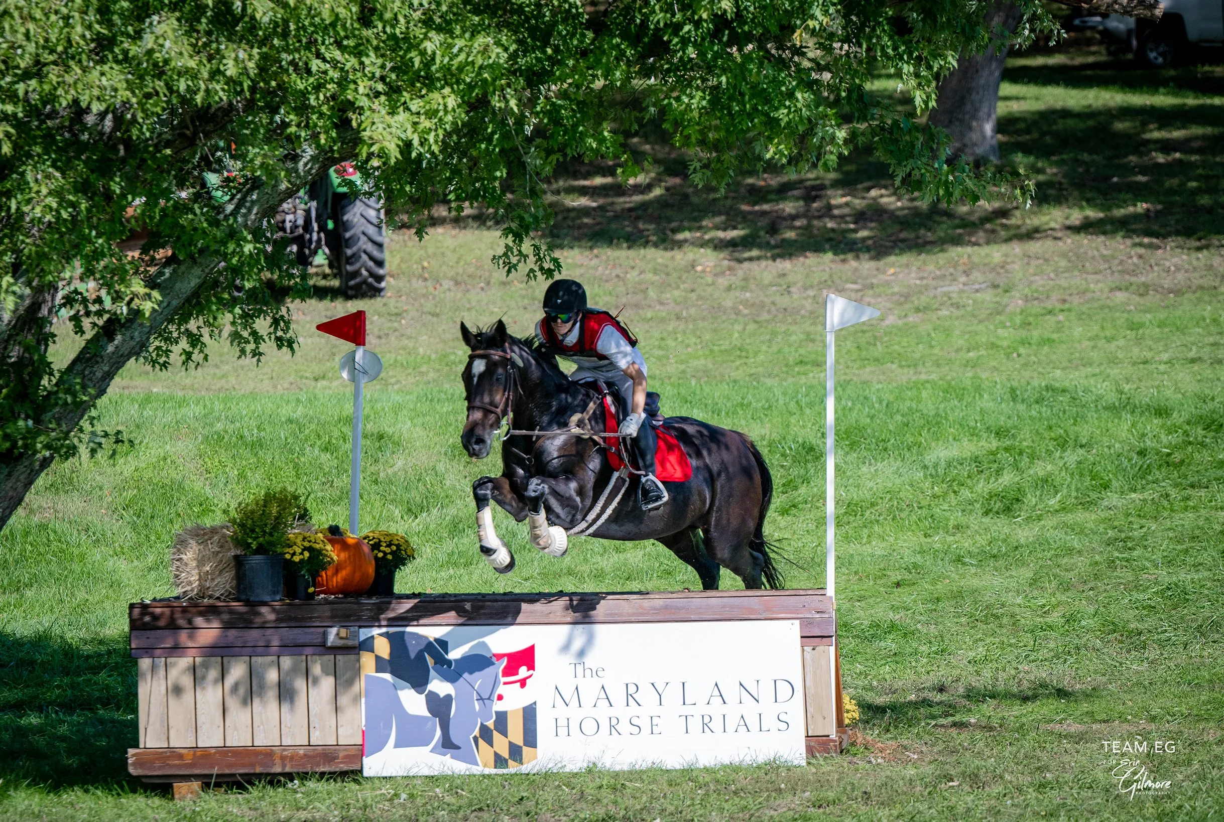 Jelly Bean MDHT prof xc jump 1 med.jpg