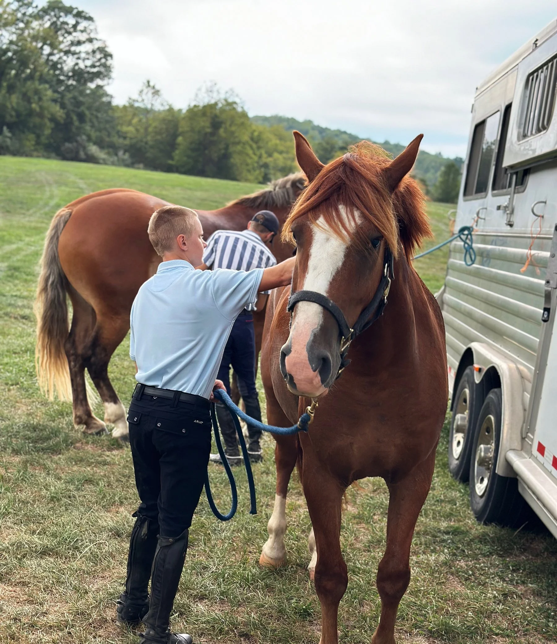 Rillo GMDS groom 1.jpg
