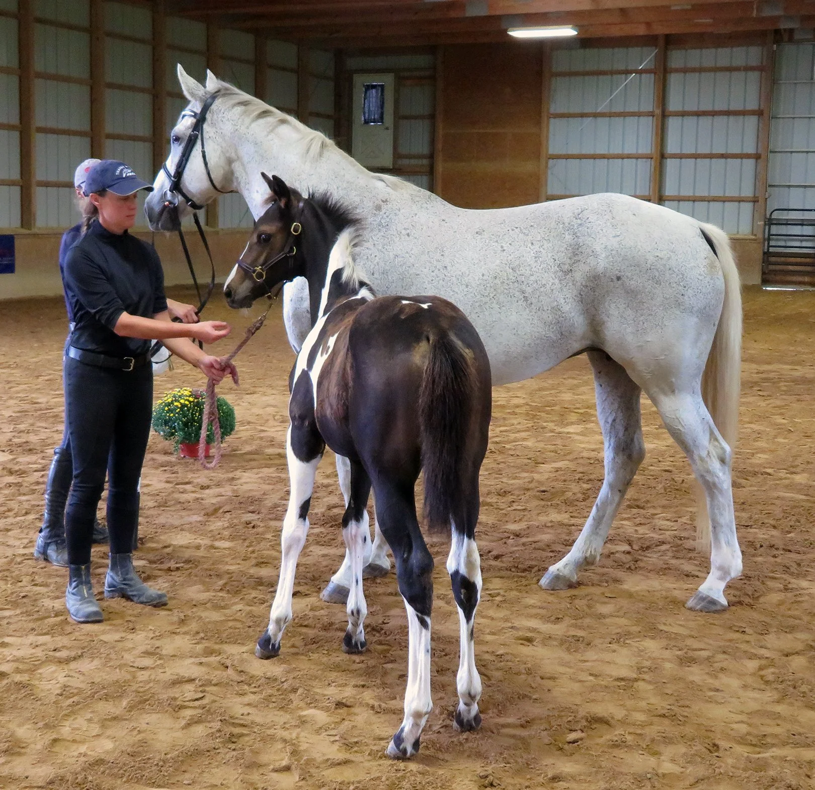 Gracielle inspection stand 1.jpg