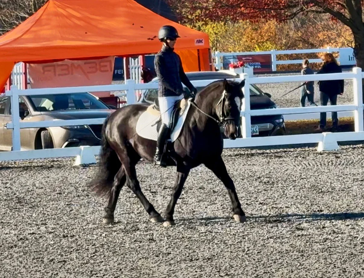 Ruca MDHTST trot 2.jpg